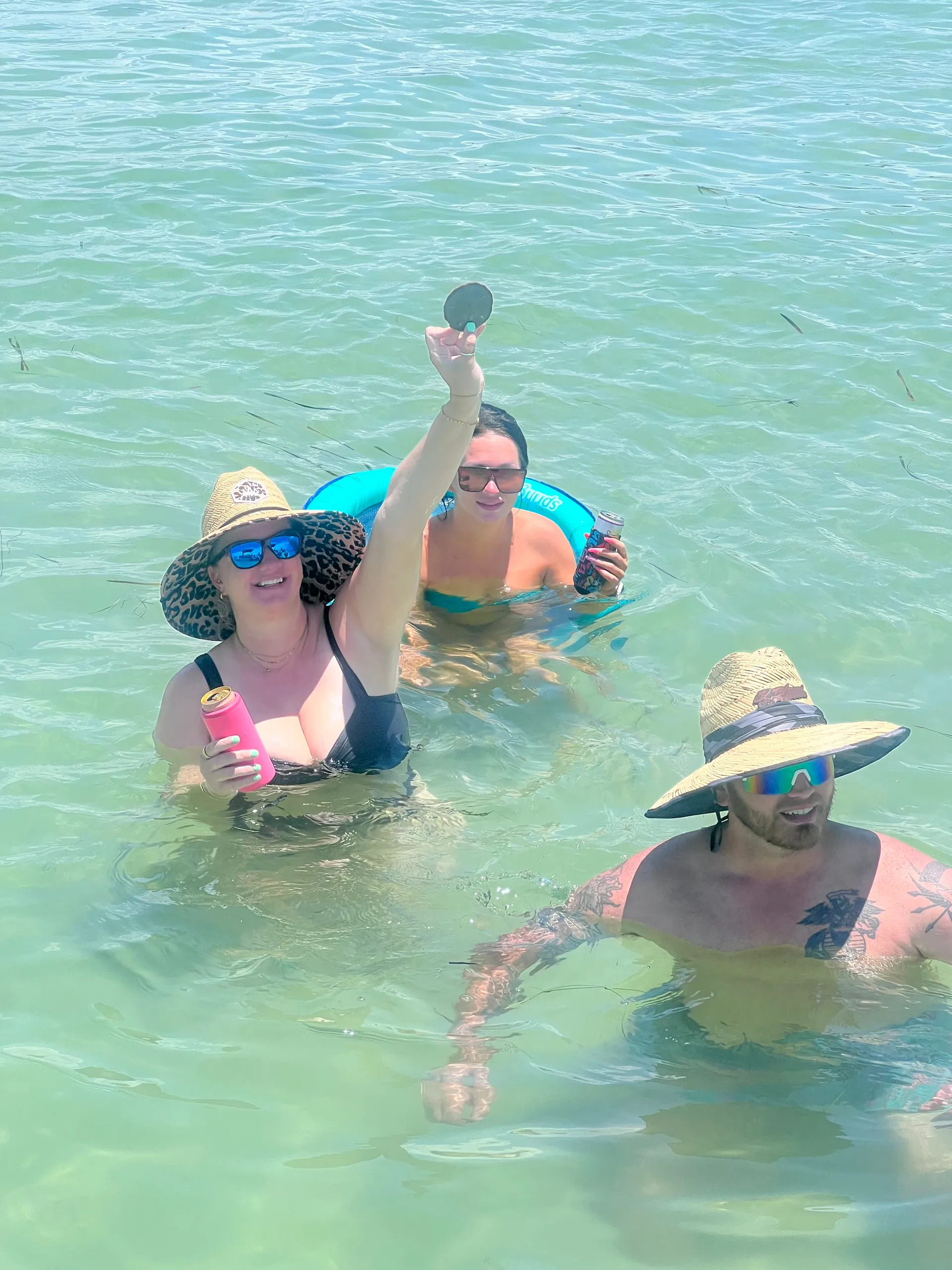 Private Dolphin and Sandbar Adventure | Up to 12 Guests
