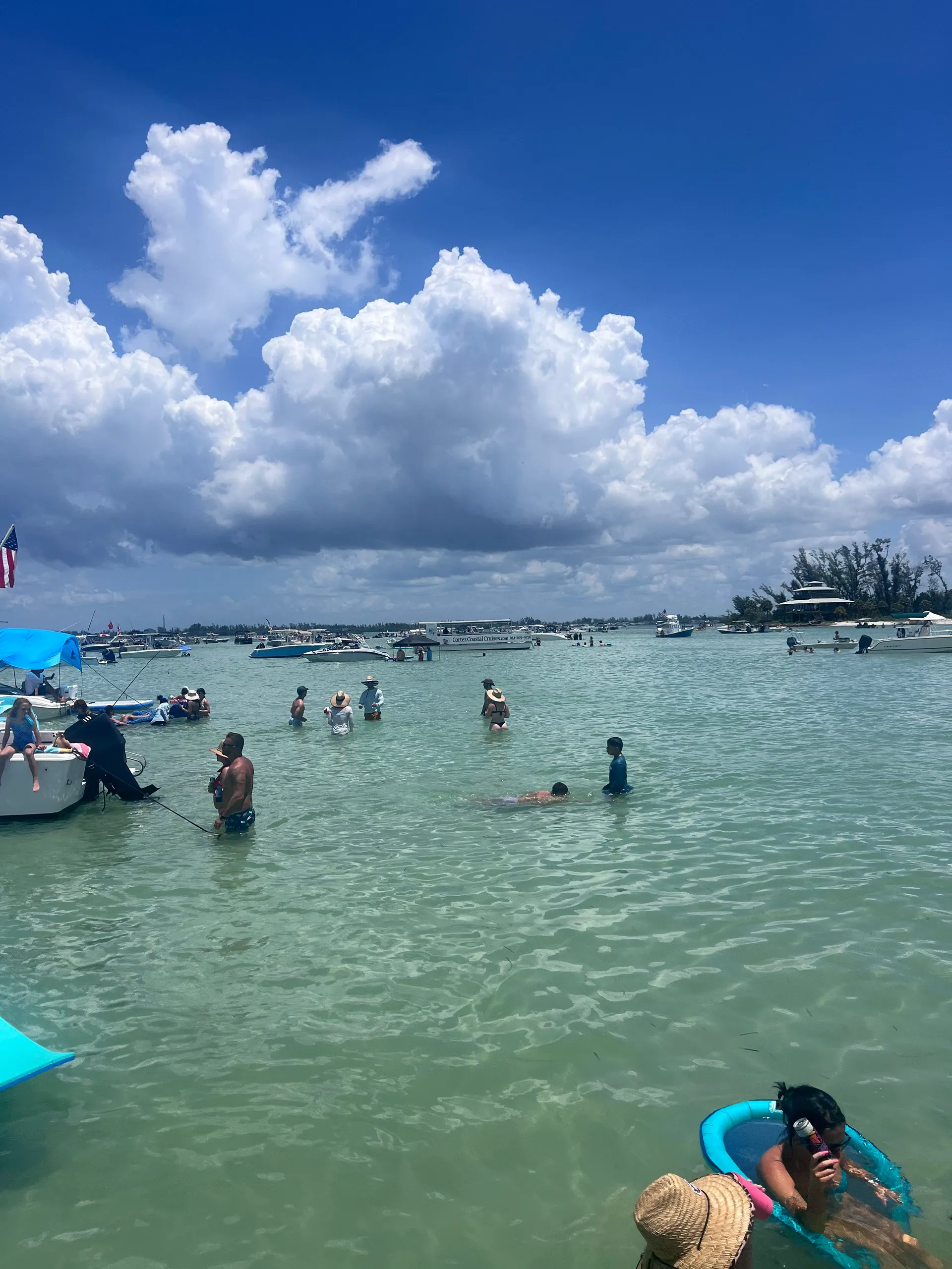Private Dolphin and Sandbar Adventure | Up to 12 Guests