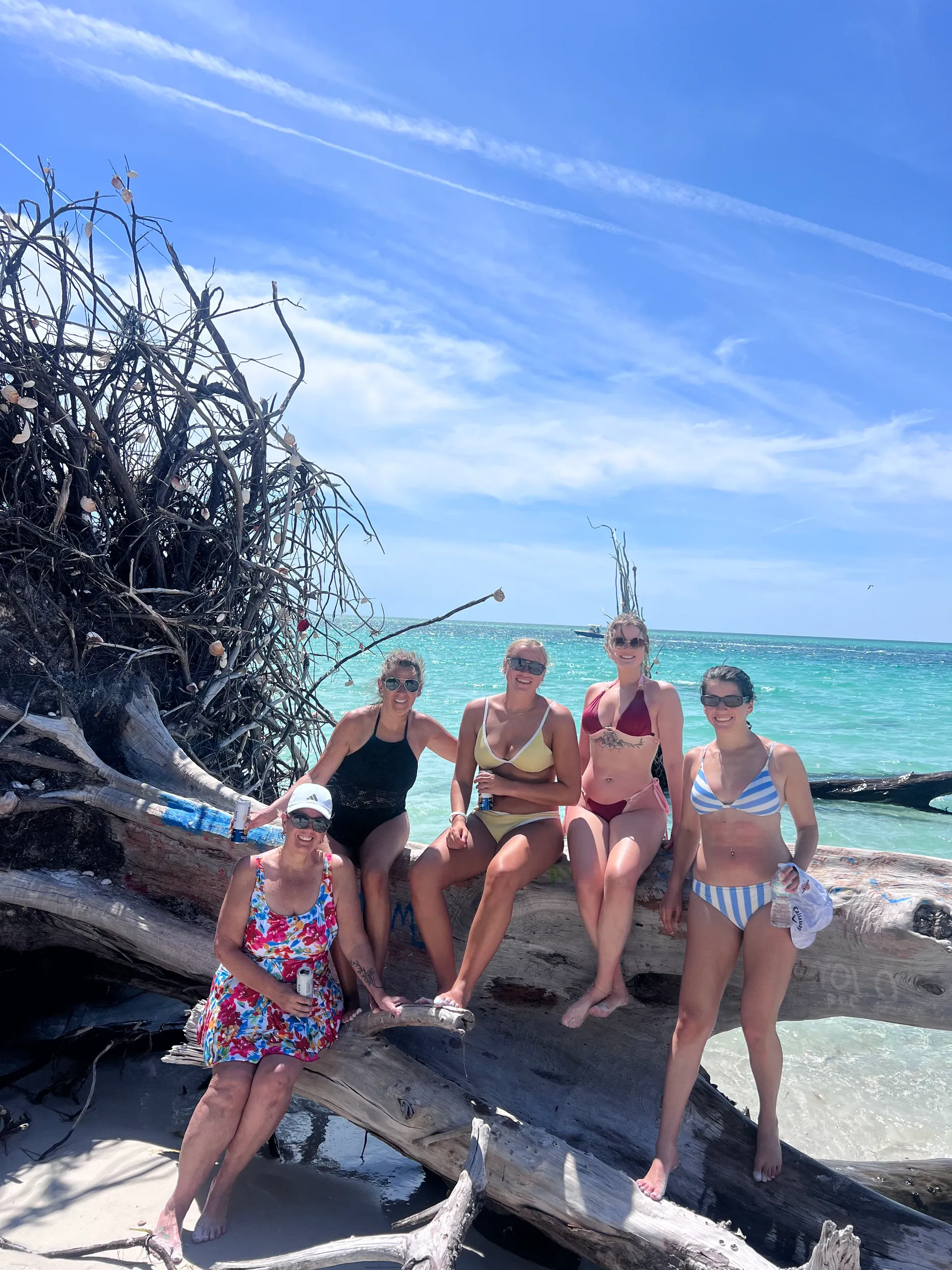 Private Dolphin and Sandbar Adventure | Up to 12 Guests