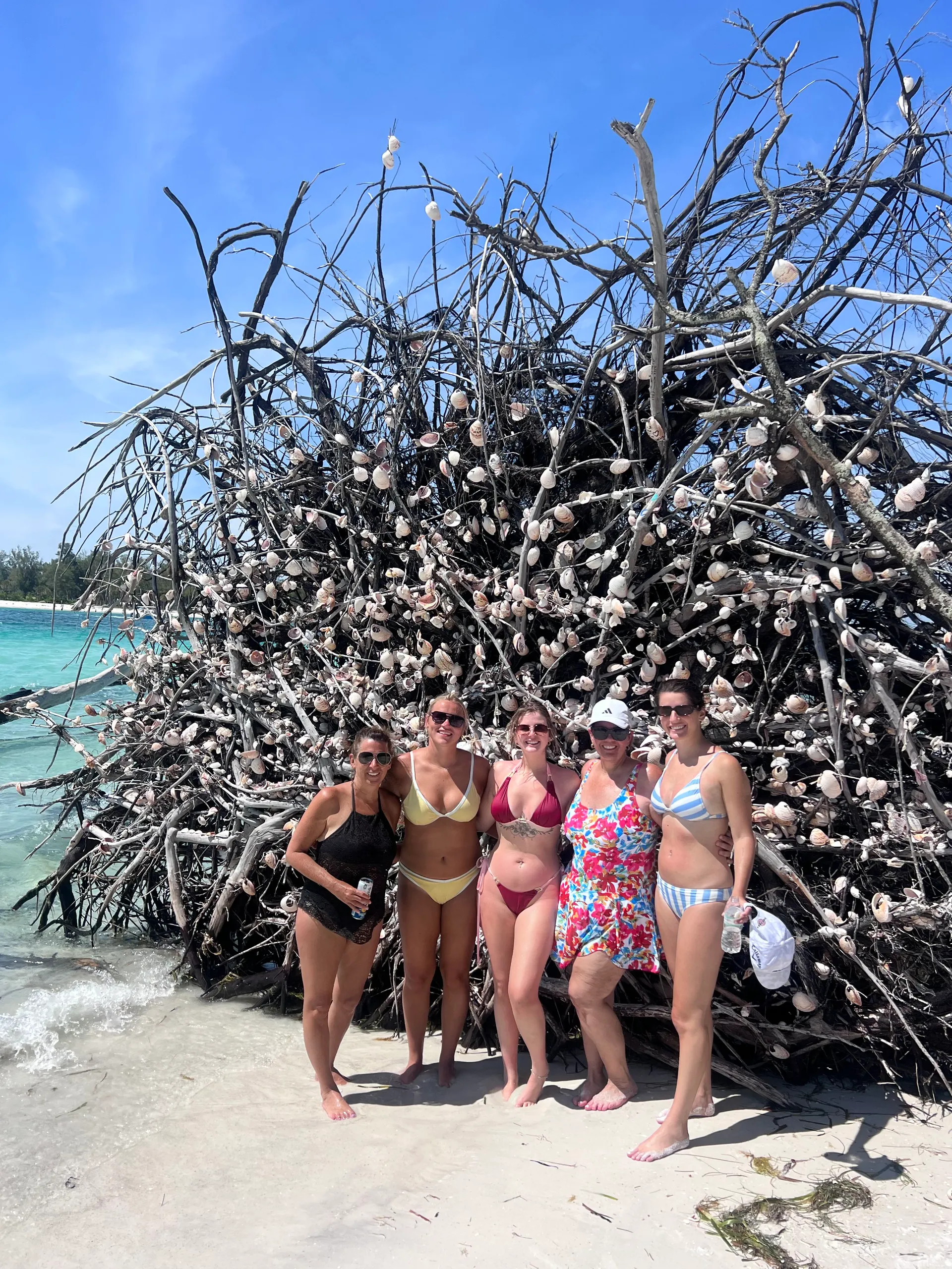 Private Dolphin and Sandbar Adventure | Up to 12 Guests