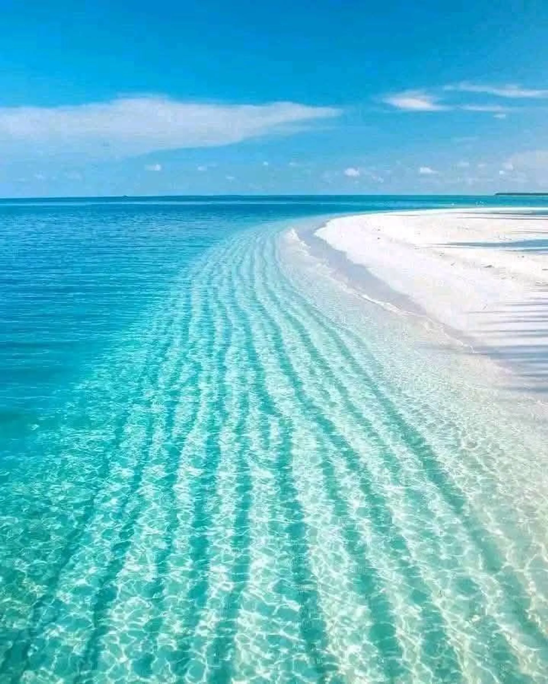 Private Dolphin and Sandbar Adventure | Up to 12 Guests
