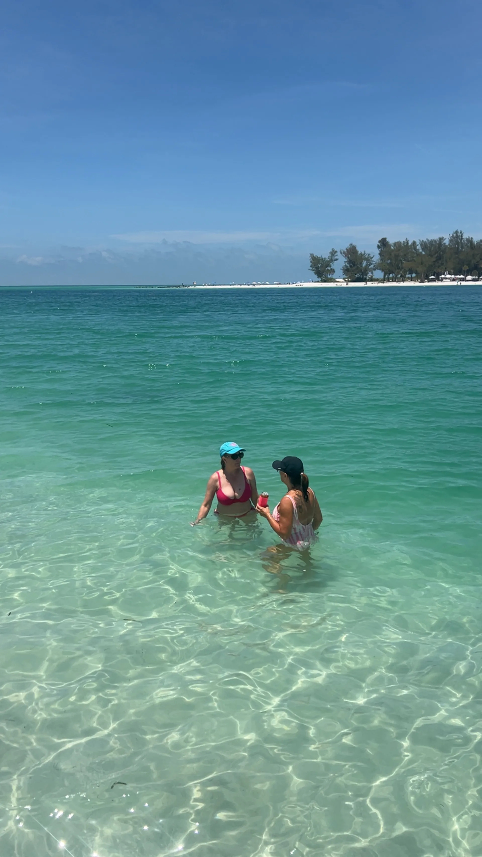 Private Dolphin and Sandbar Adventure | Up to 12 Guests