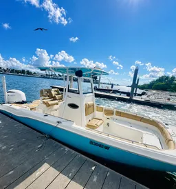 Sandbar Party, dolphin watching, cruising  boat photo