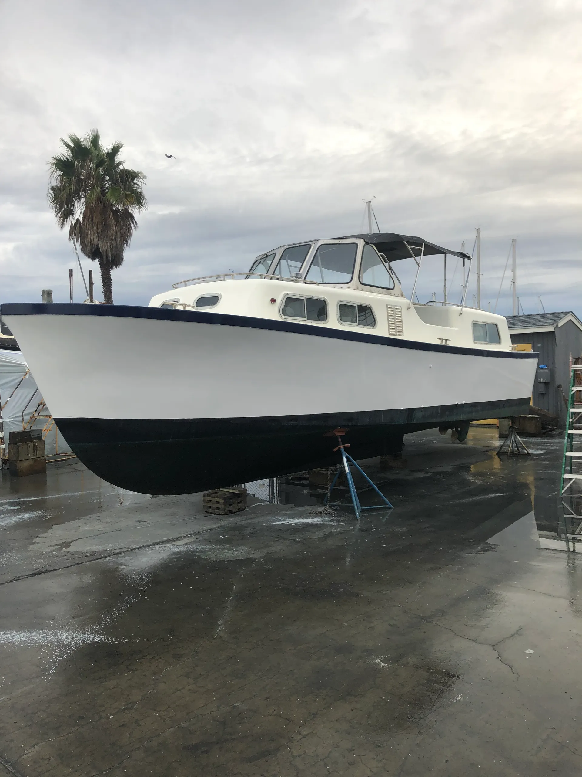 Willard Marine Inc Captain’s Gig in San Diego, CA — photo 2