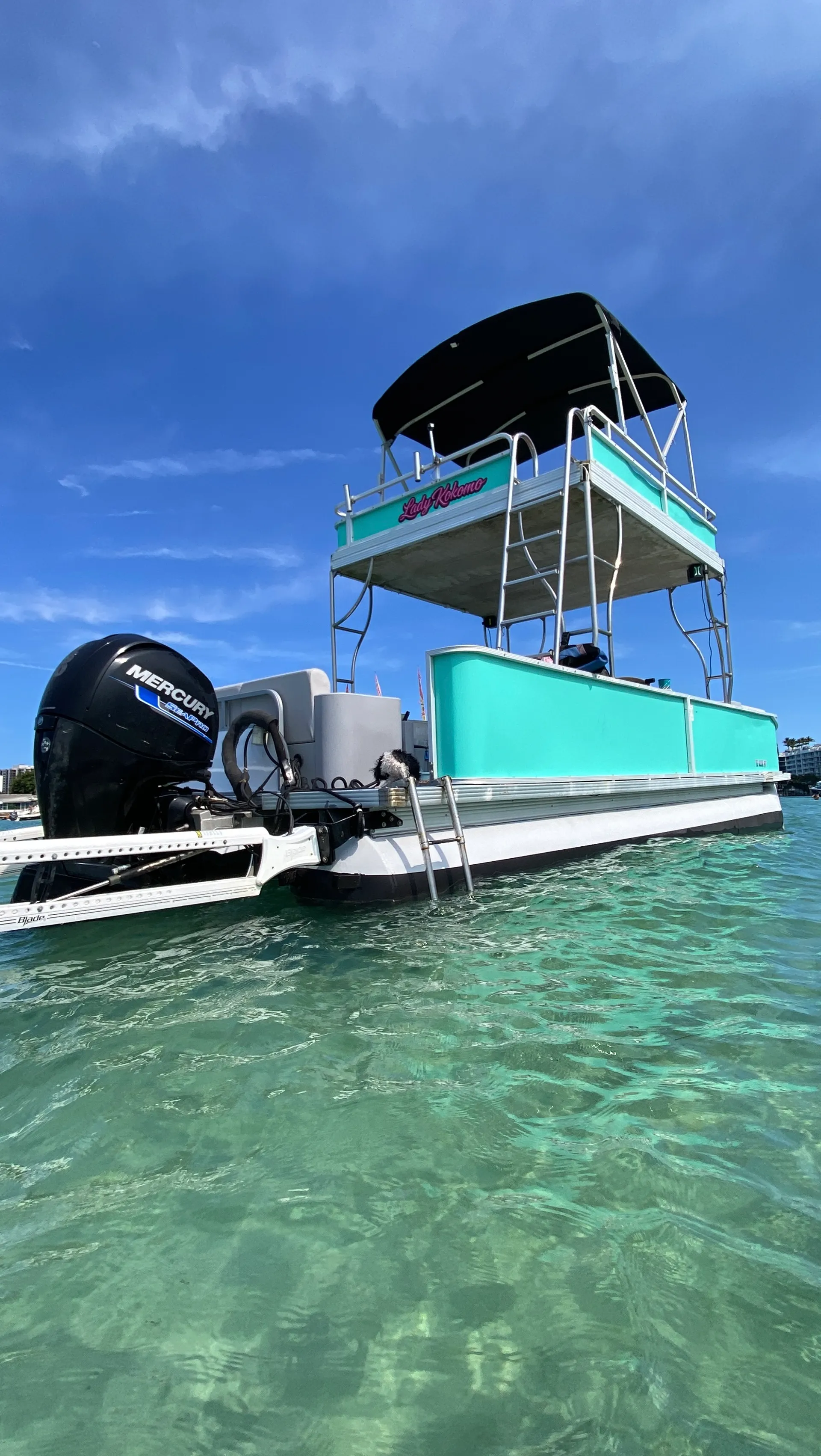 CREST PONTOONS 27 UPPER SUNDECK in North Miami Beach, FL — photo 2
