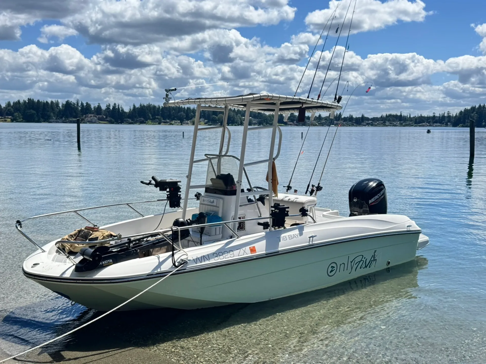 BAYLINER T18 BAY in Yelm, WA — photo 6