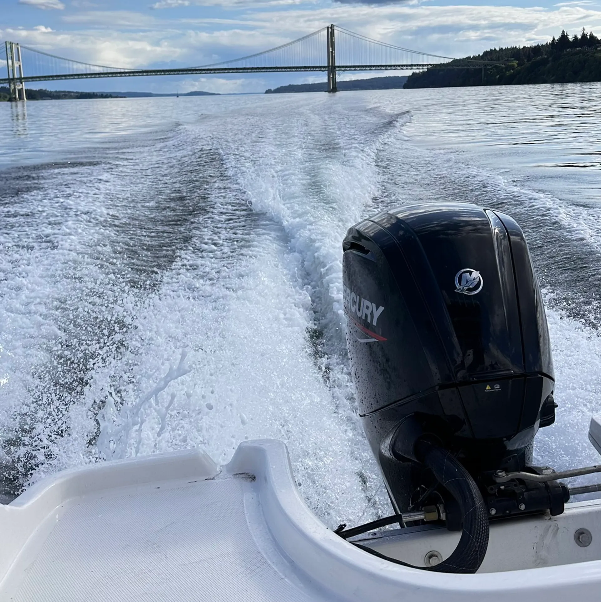 BAYLINER T18 BAY in Yelm, WA — photo 8