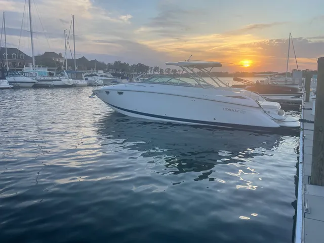 Rent a COBALT cruiser in Elgin, SC near me