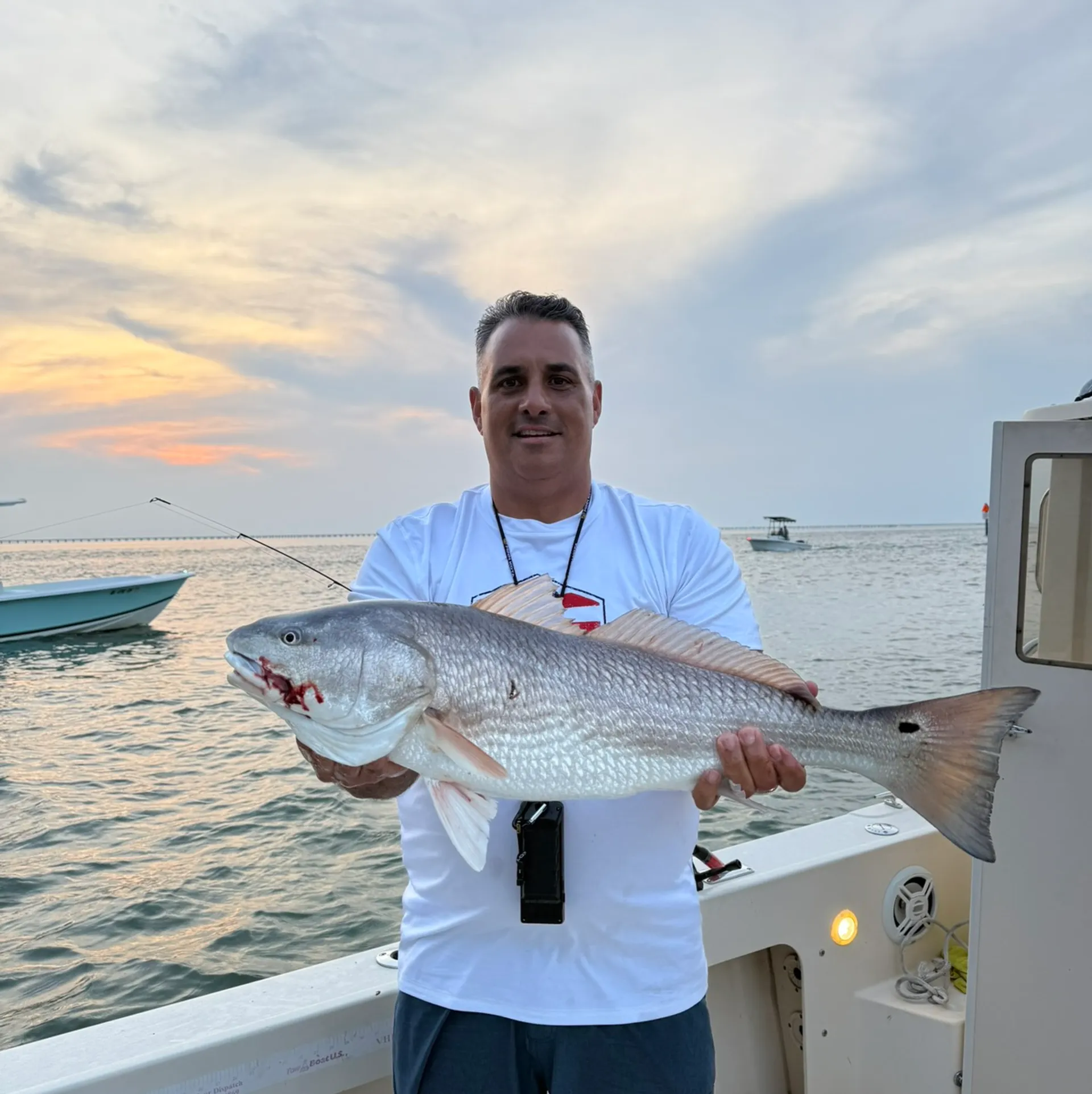 23 Ft Parker pilot house / Cobia Tower