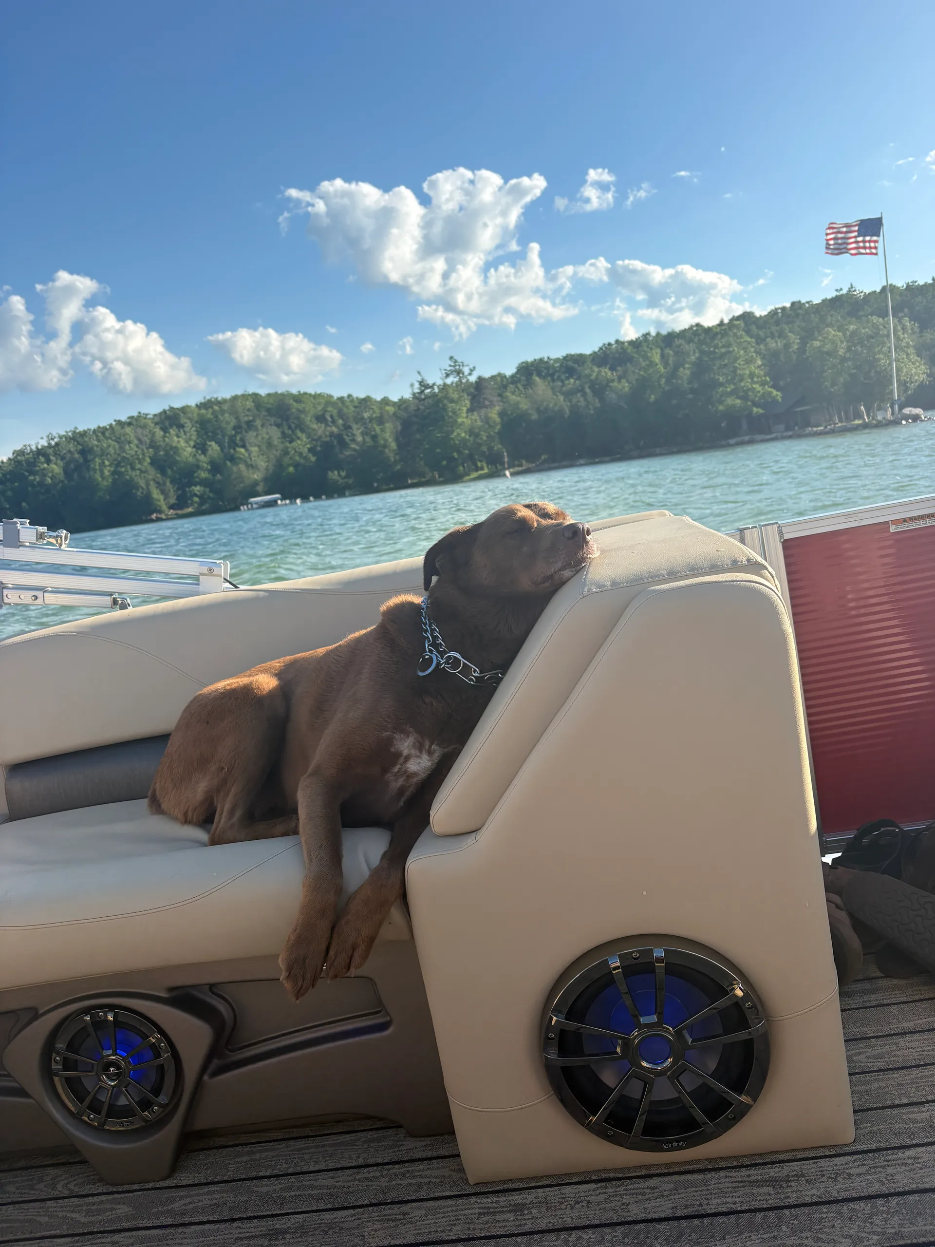TAHOE PONTOONS LTZ VERSATILE REAR BENCH 2485VRB in Walloon Lake, MI — photo 7