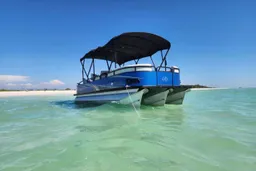 Premium Avalon Tritoon 25ft- 12 Passenger + fish &amp; tube boat photo