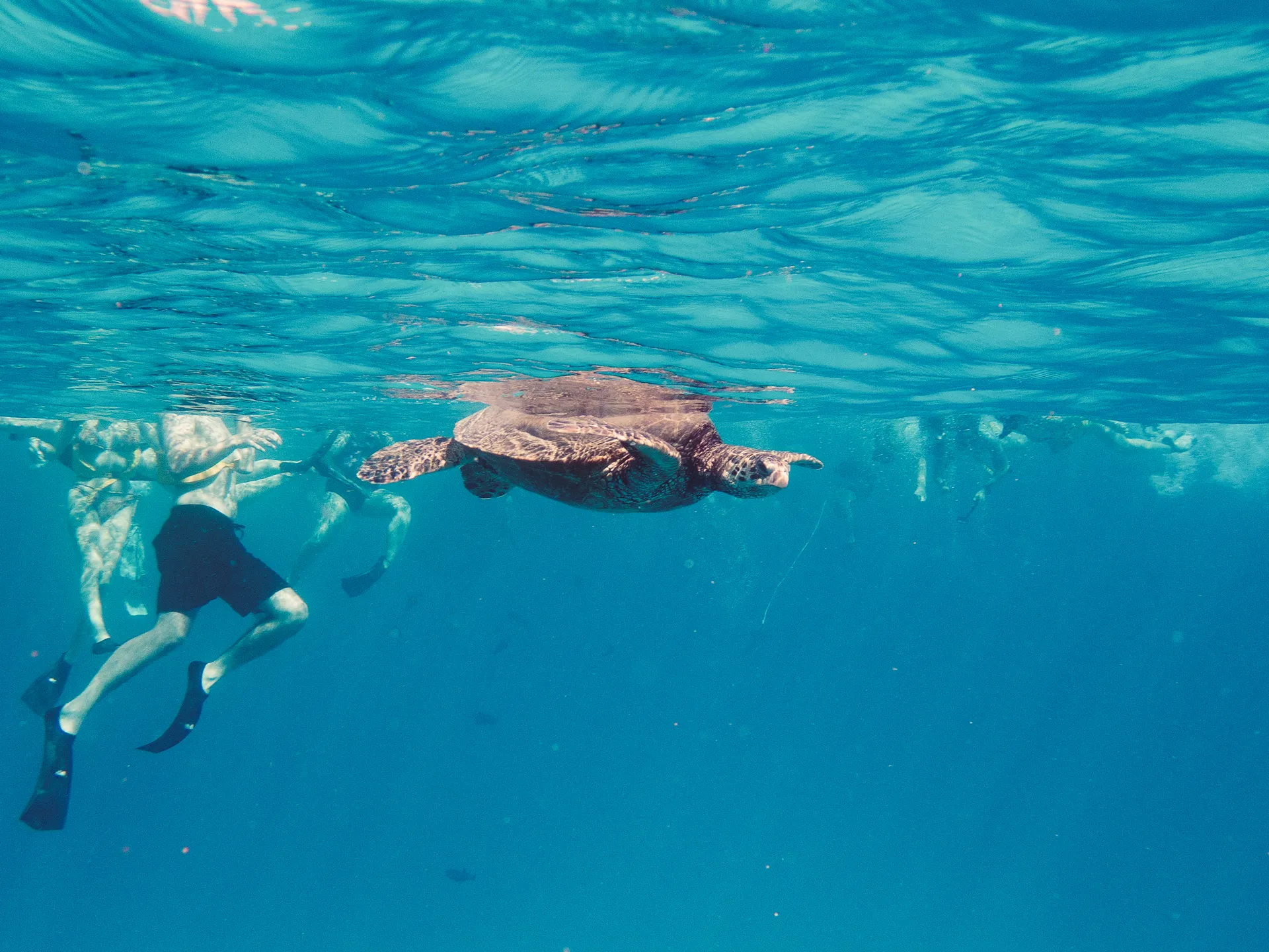 Personalized private sail on the Island Magic Catamaran 