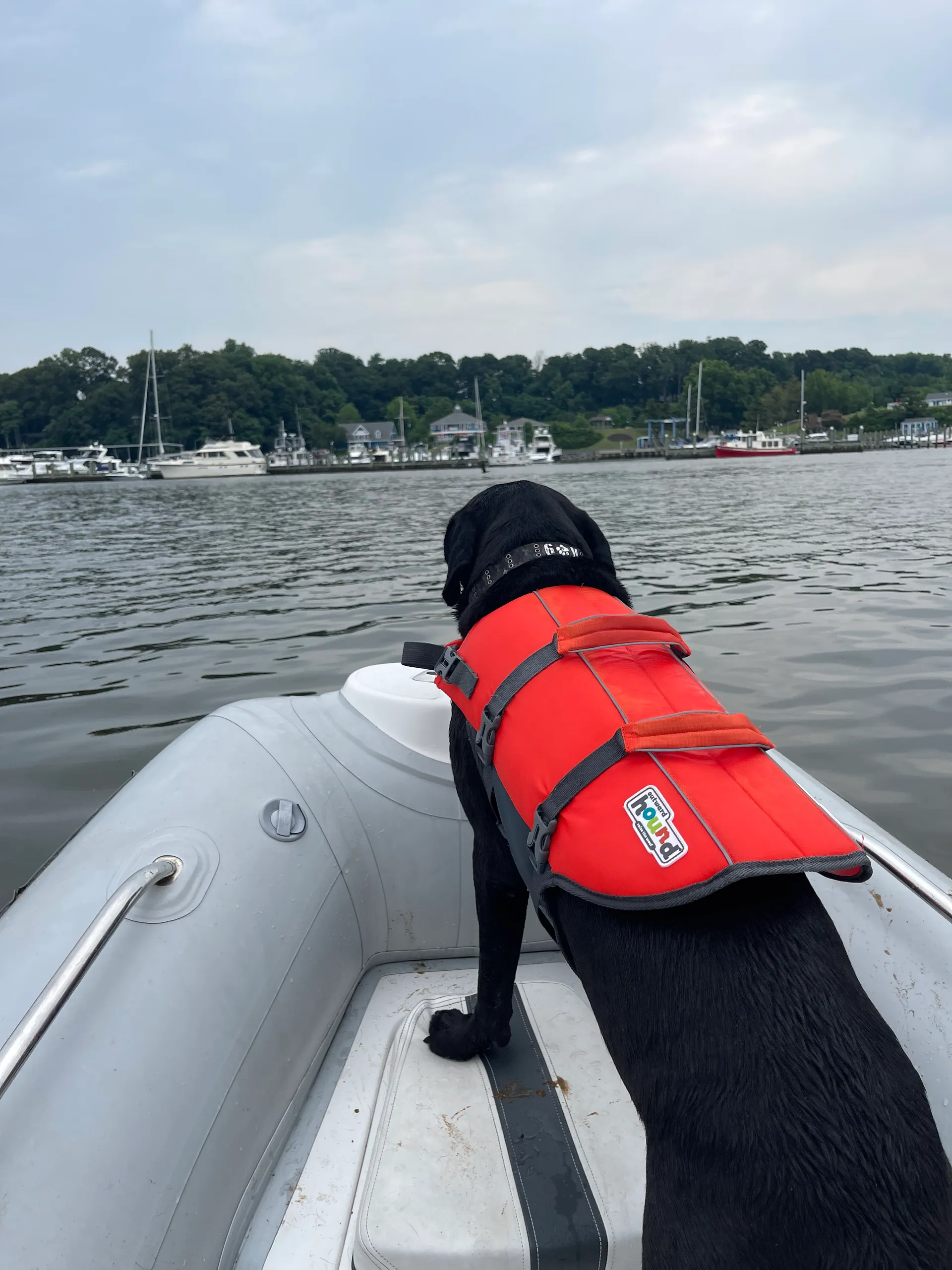 AB INFLATABLES 12 VST in Annapolis, MD — photo 4