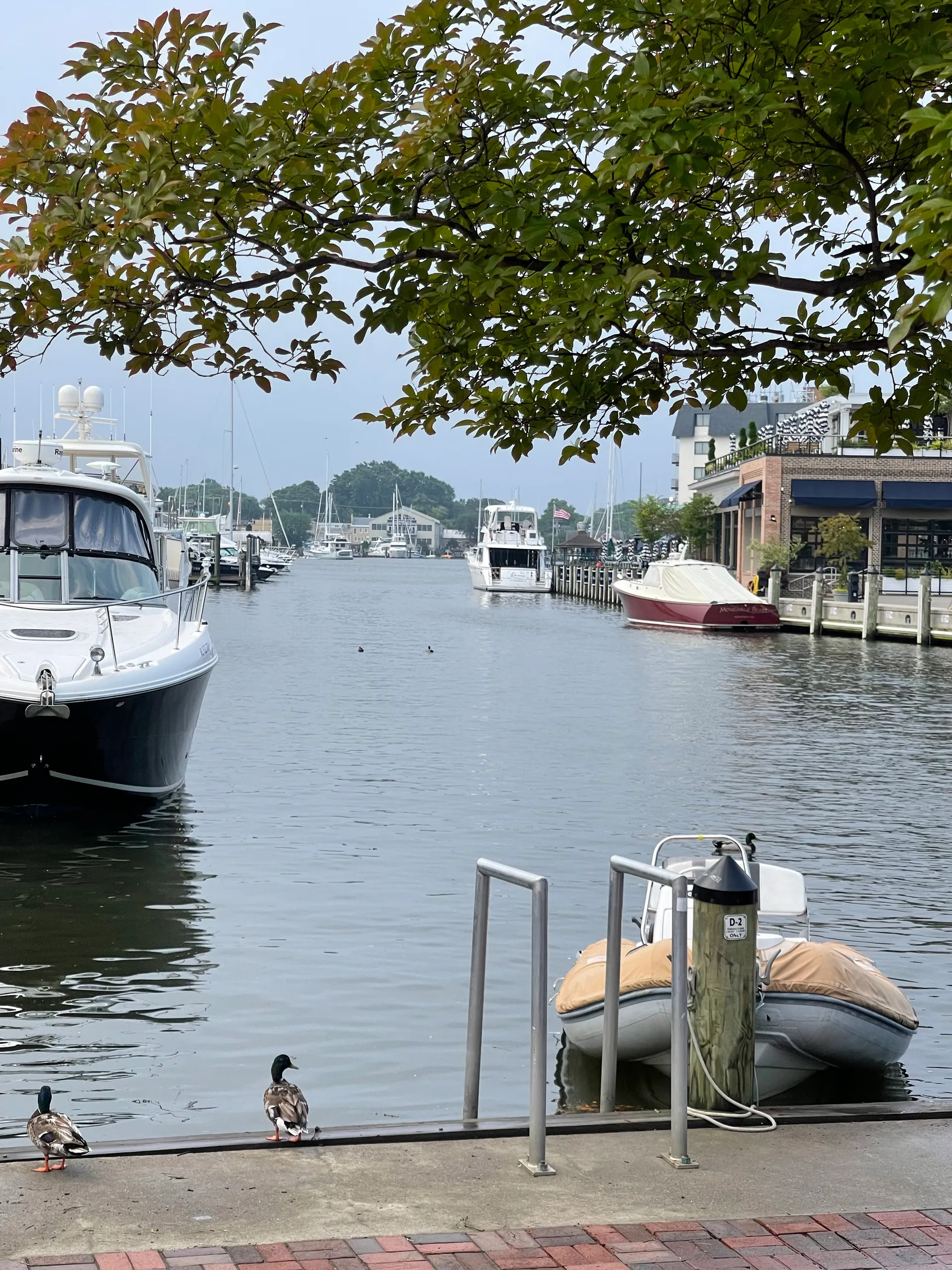 Annapolis Harbor Breeze — Private RIB Ride
