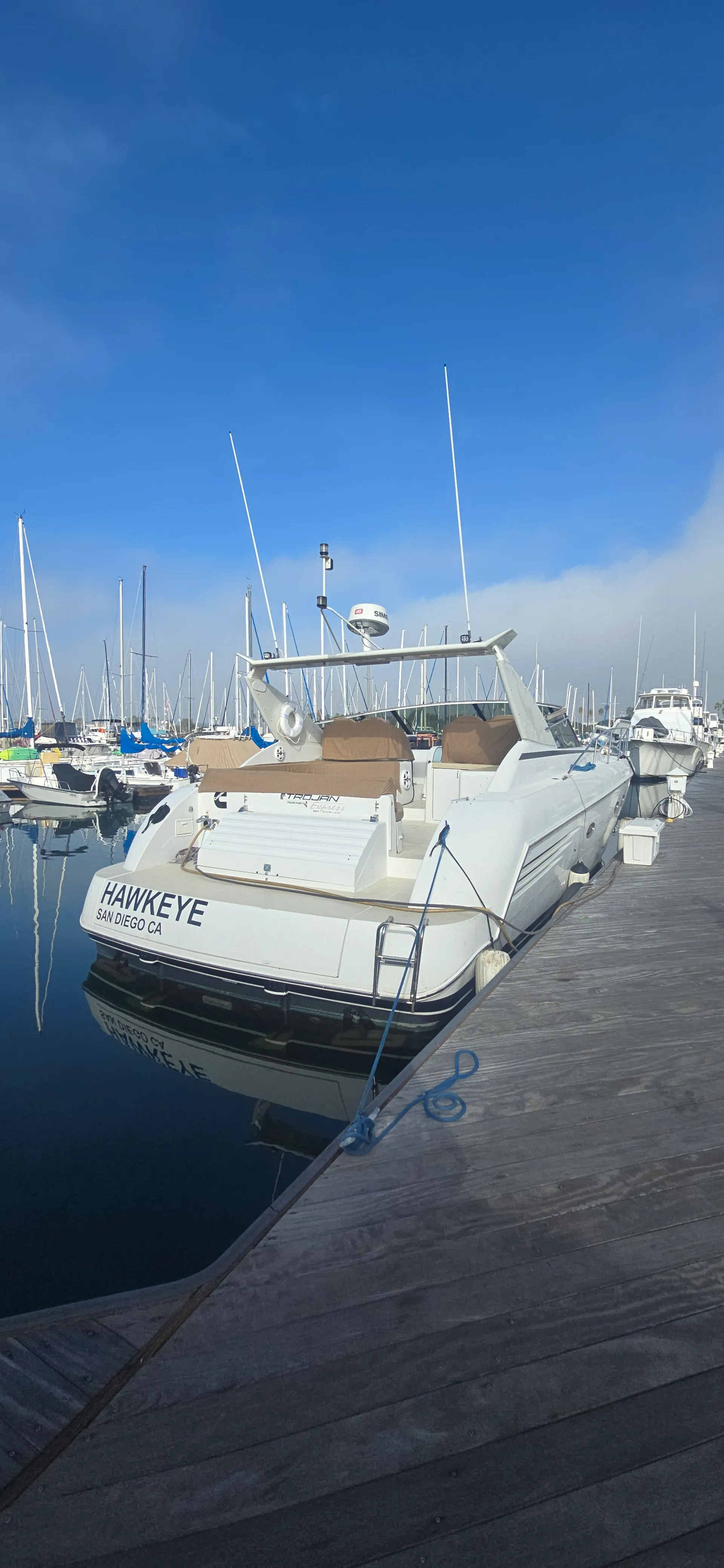 TROJAN YACHTS 440 EXPRESS YACHT in San Diego, CA — photo 3