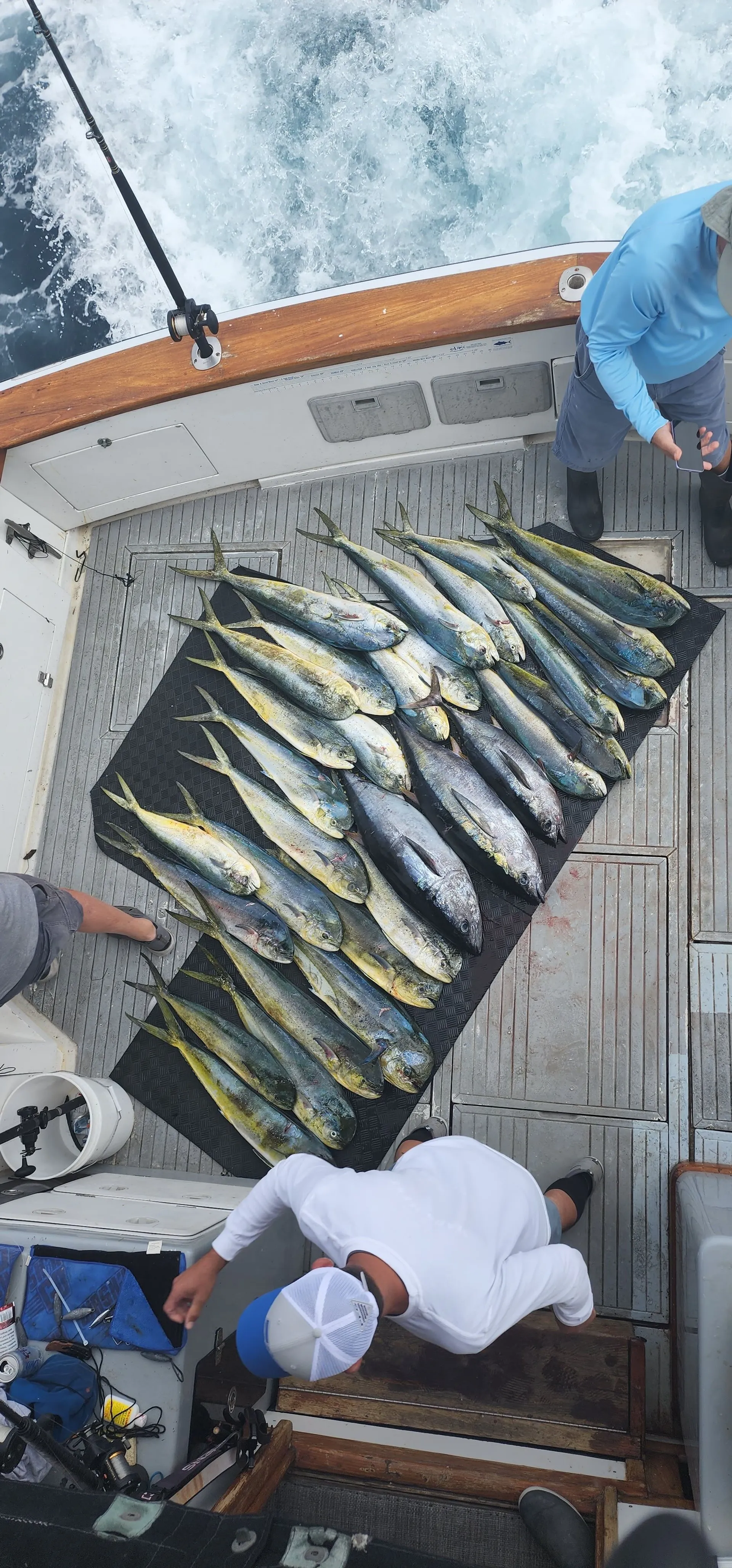 50ft EggHarbor. Party, Harbor cruise or offshore fishing 