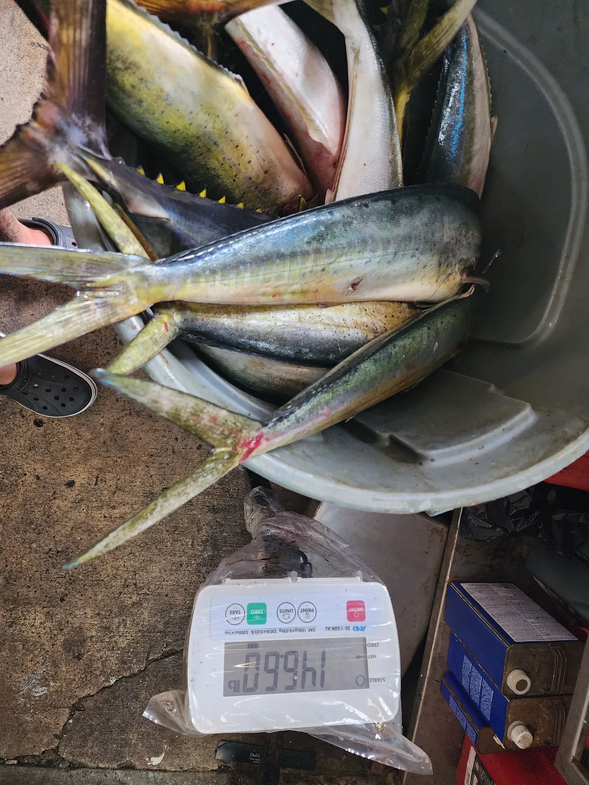 50ft EggHarbor. Party, Harbor cruise or offshore fishing 