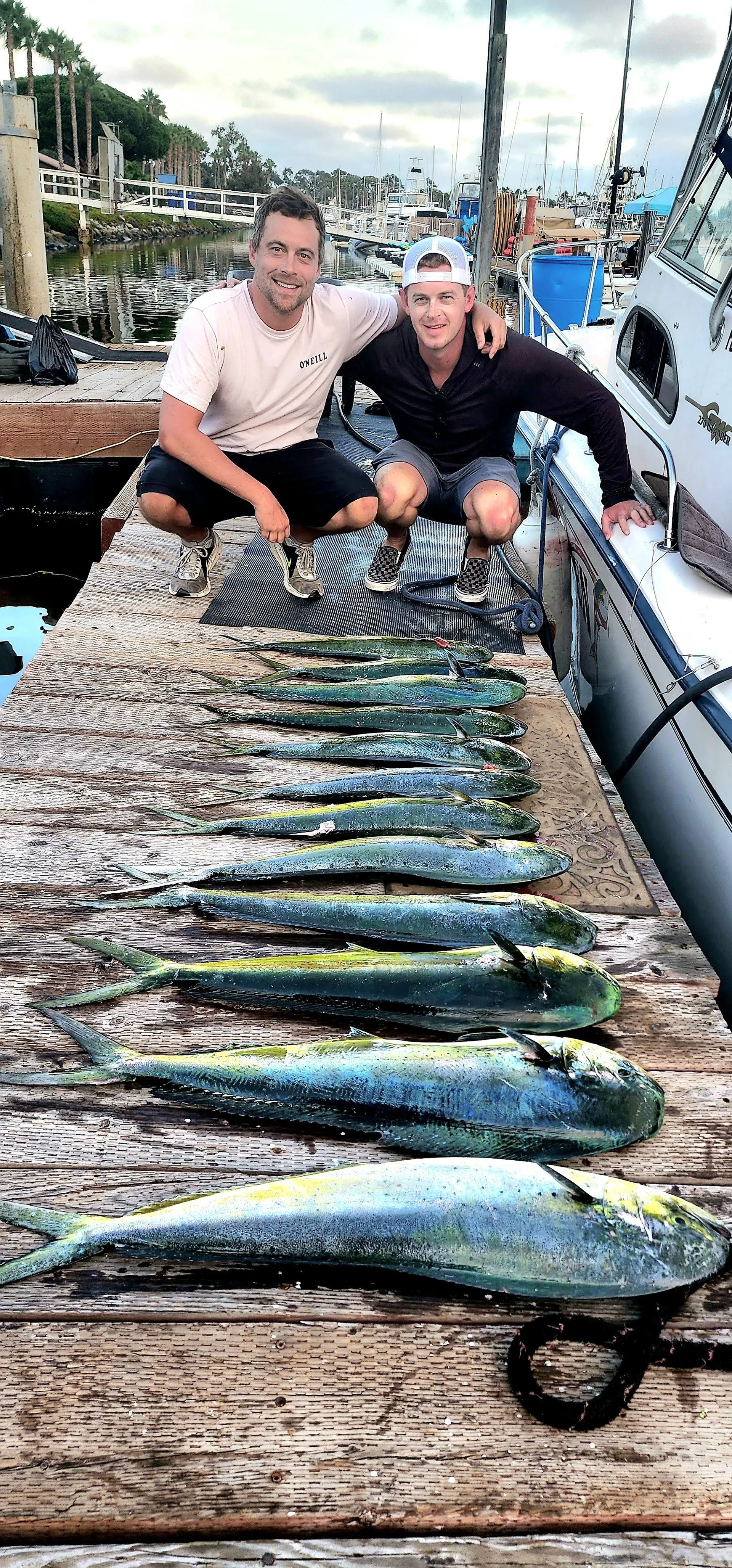 50ft EggHarbor. Party, Harbor cruise or offshore fishing 
