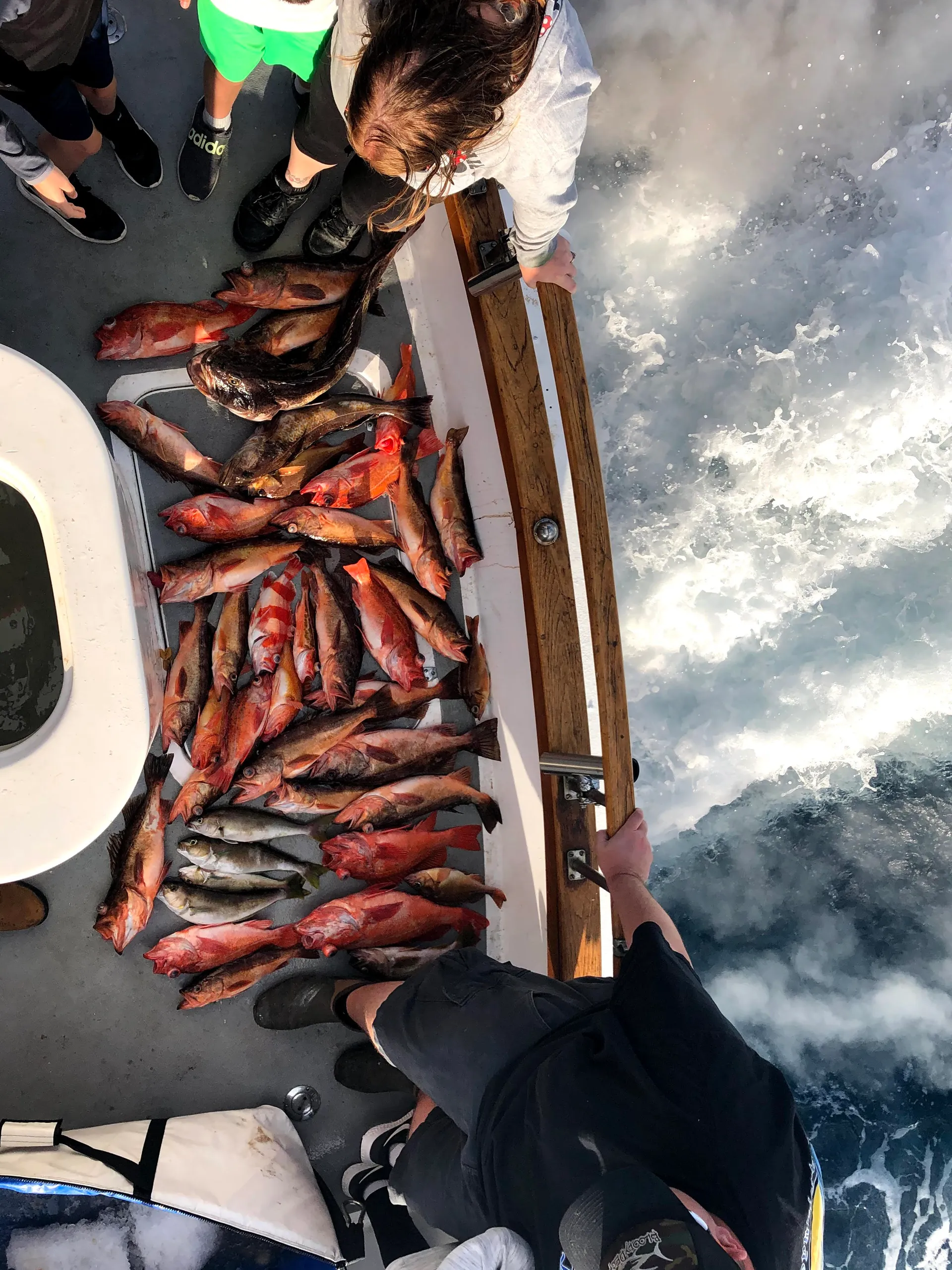 50ft EggHarbor. Party, Harbor cruise or offshore fishing 