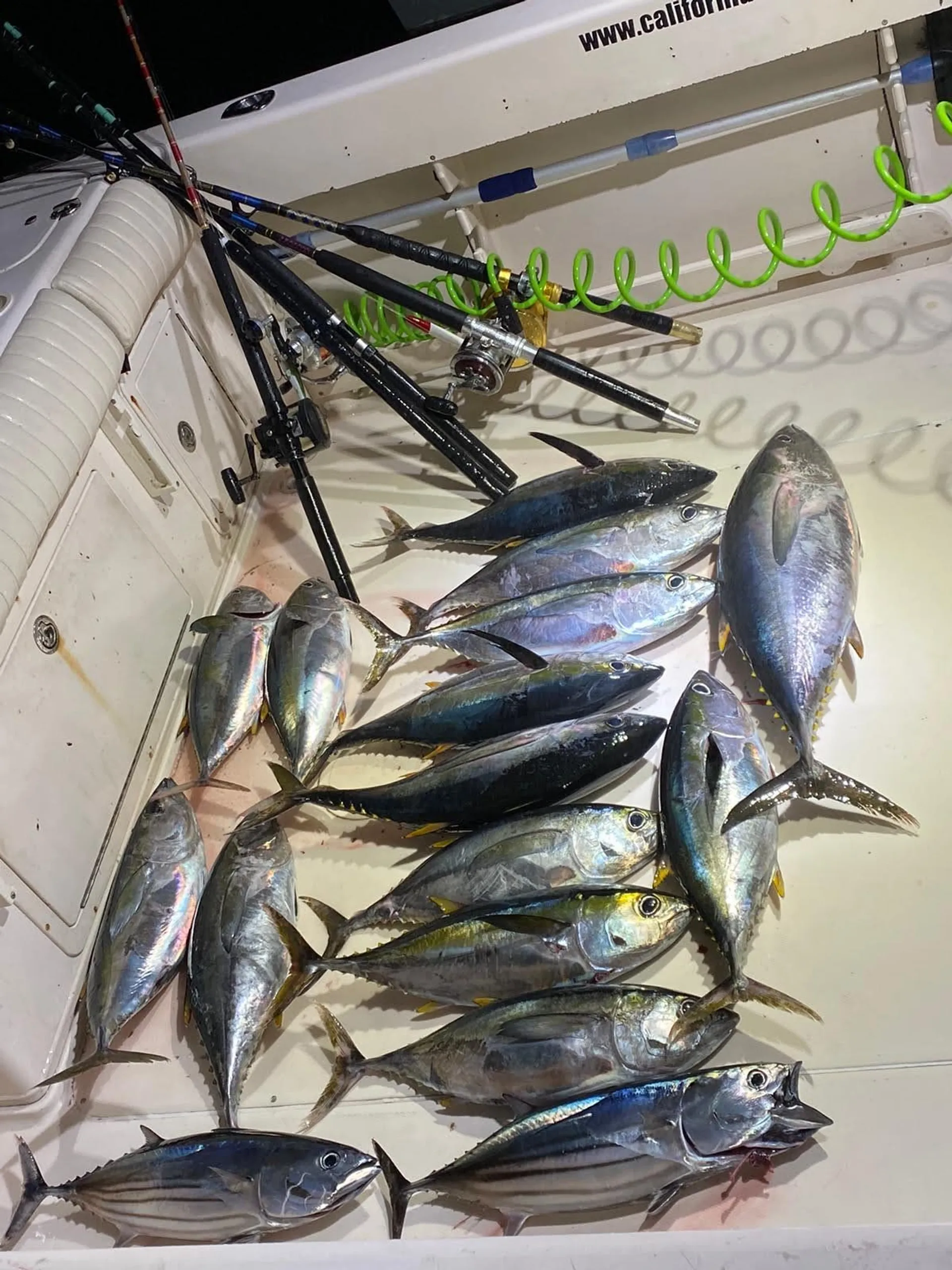 Kraken - 4 Pack Fishing Charter in San Diego!