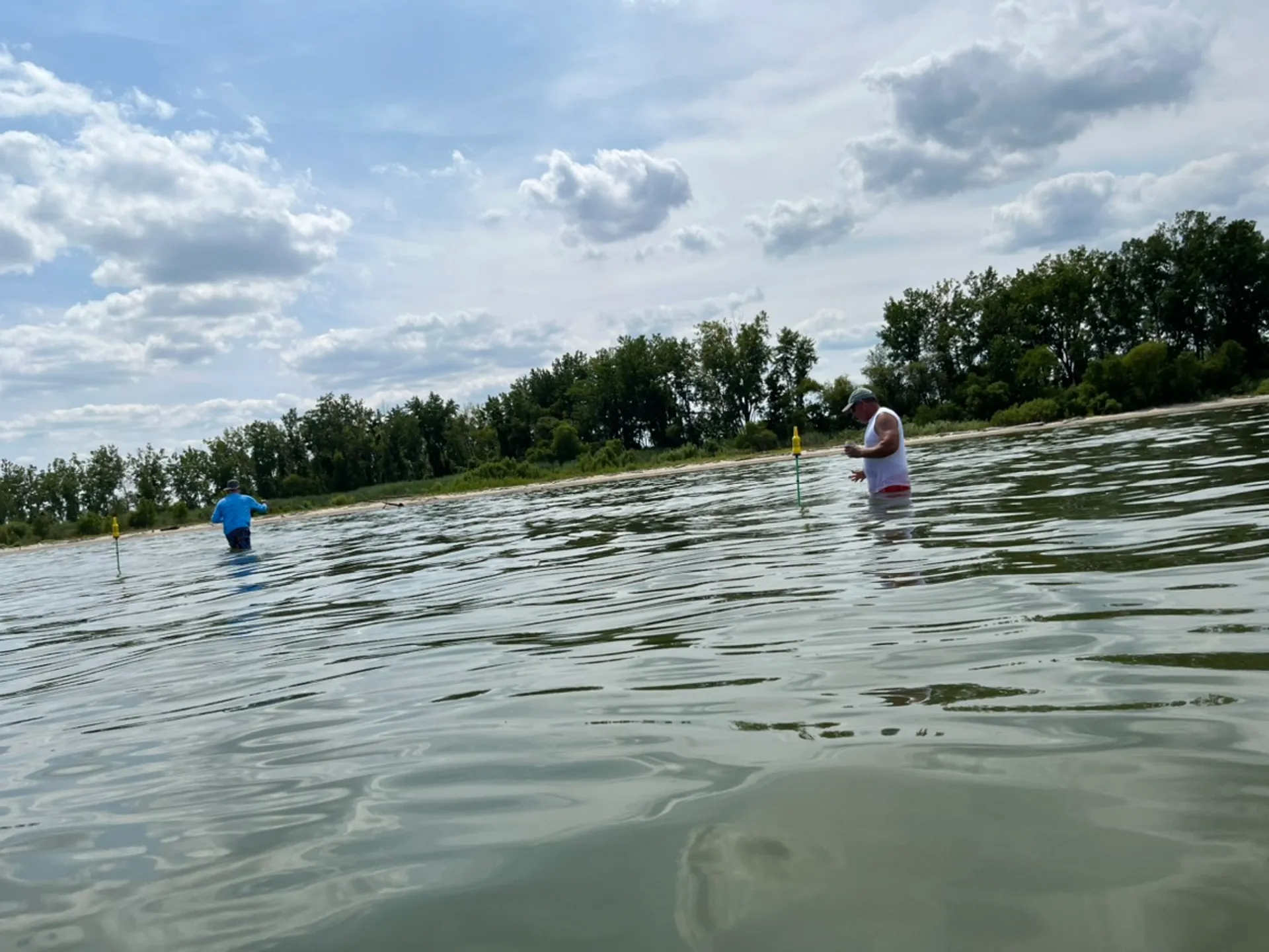 Escape reality and “Toon” out in Toledo