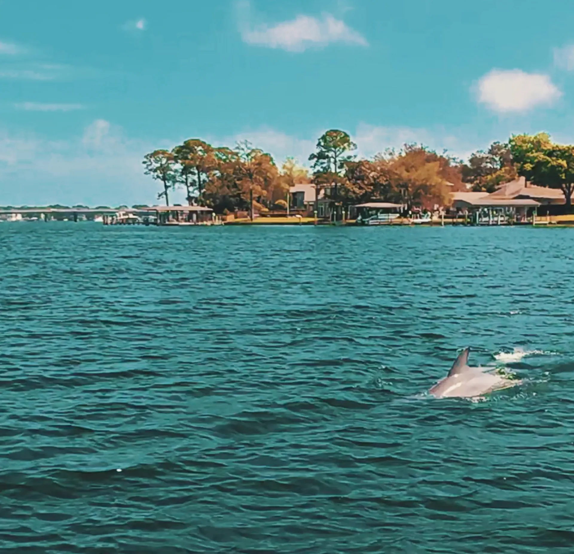 Correct Craft Nautique Super Air Nautique G23 in Fort Walton Beach, FL — photo 8