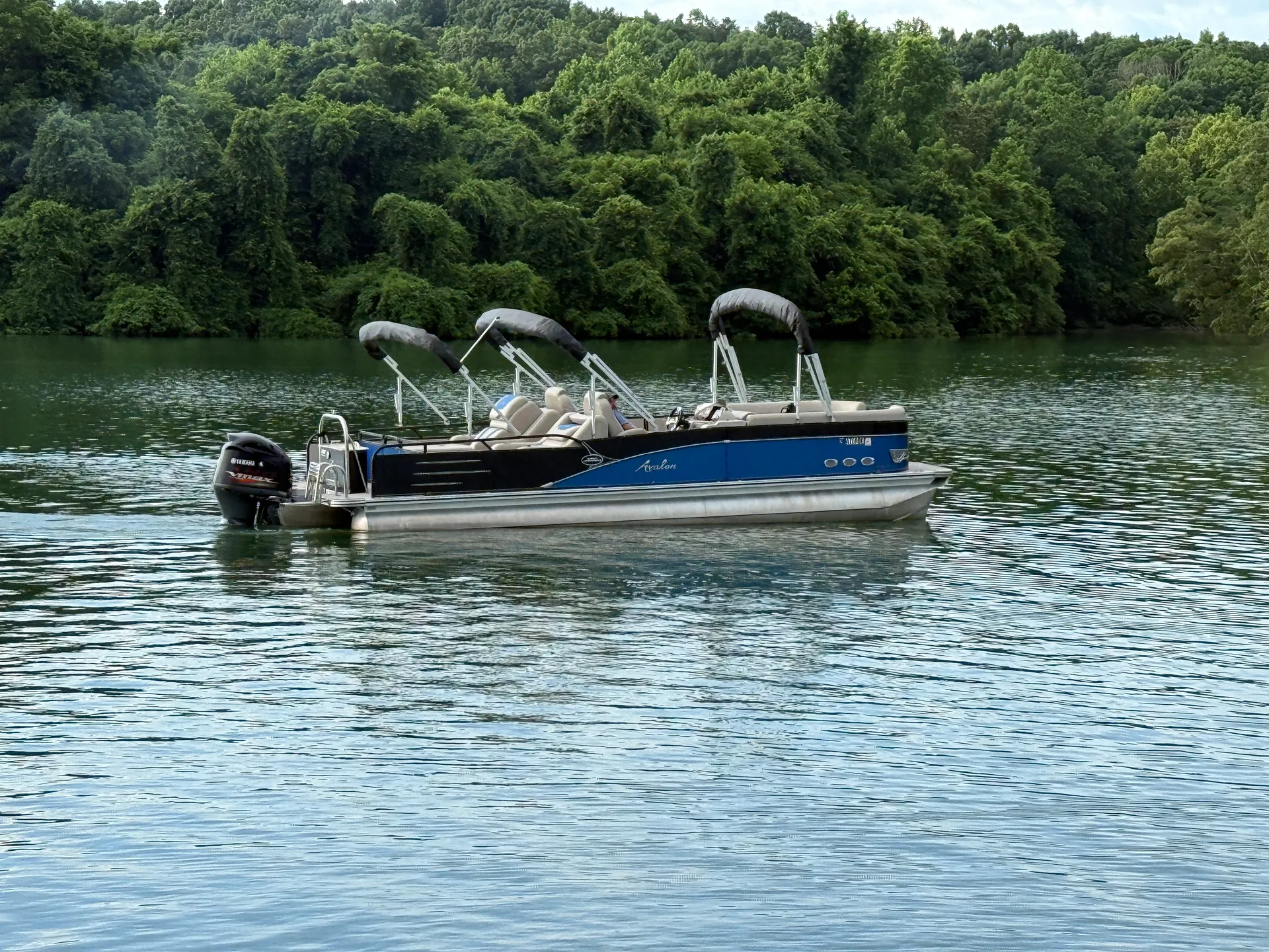 AVALON PONTOONS 27' AMBASSADOR REAR LOUNGE in Vonore, TN — photo 2