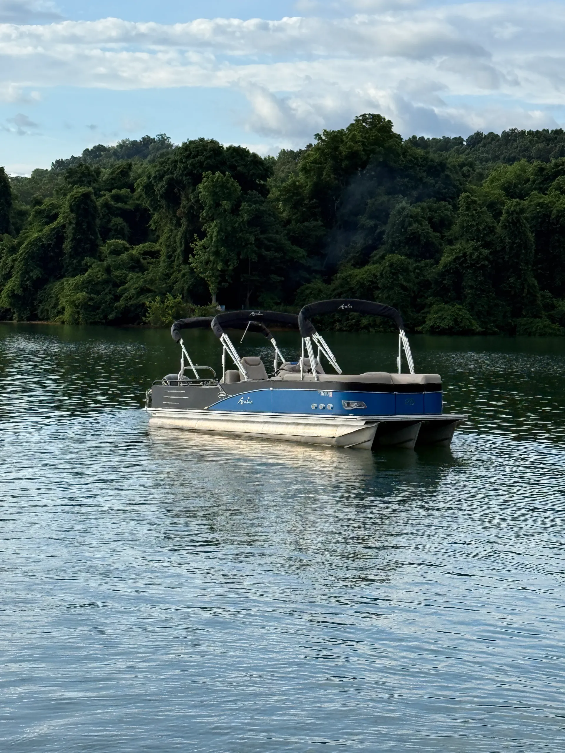 AVALON PONTOONS 27' AMBASSADOR REAR LOUNGE in Vonore, TN — photo 9
