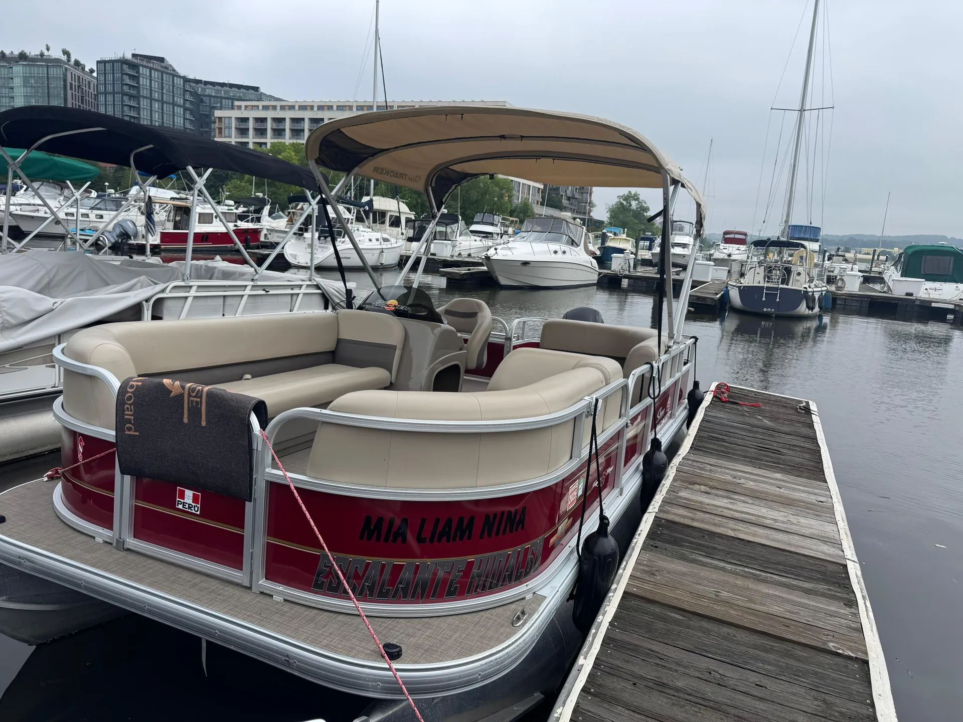 SUN TRACKER PARTY BARGE 18 DLX in Washington, DC — photo 3