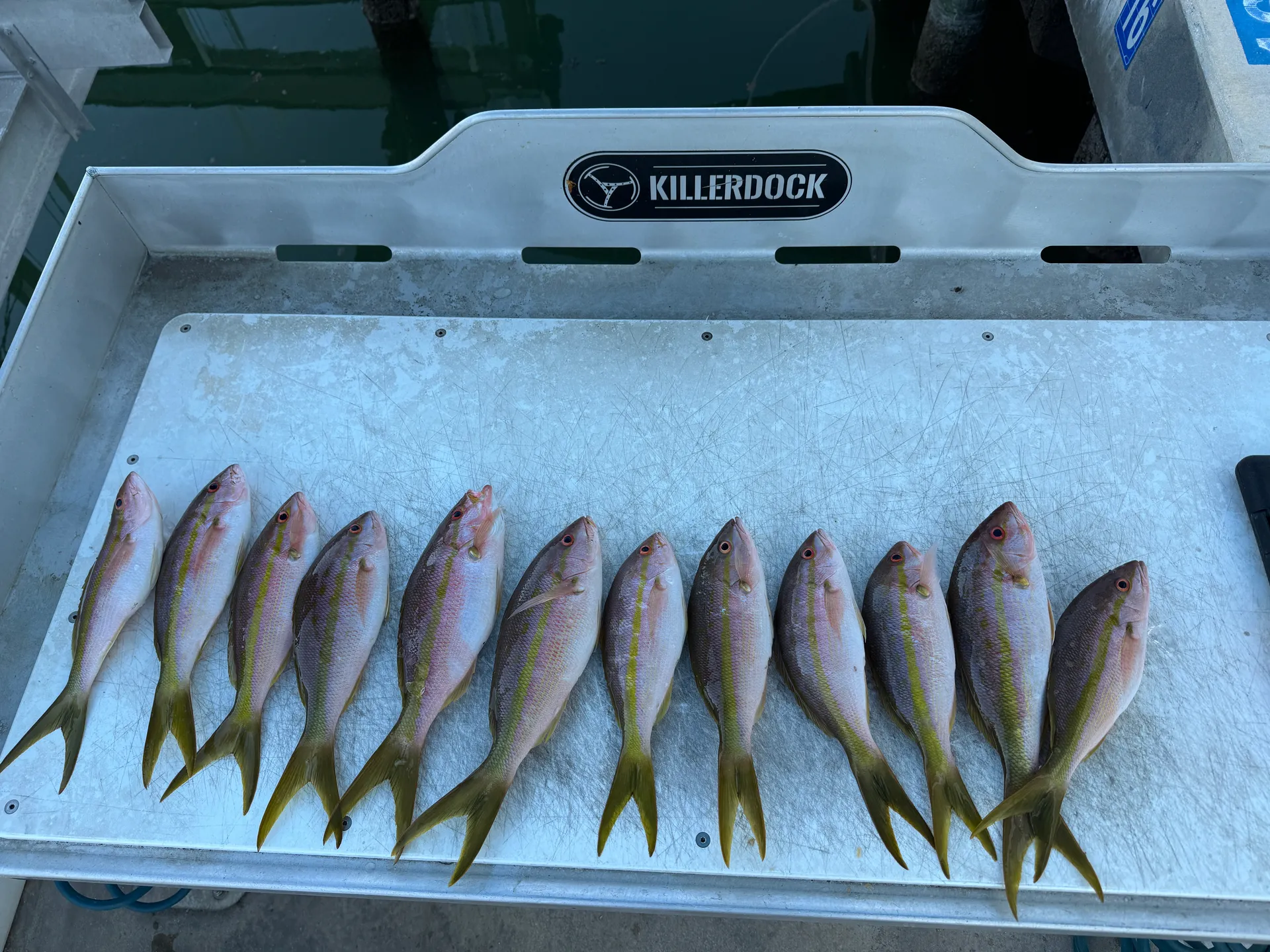 Grady White 236 Fisherman  in Islamorada, FL — photo 10