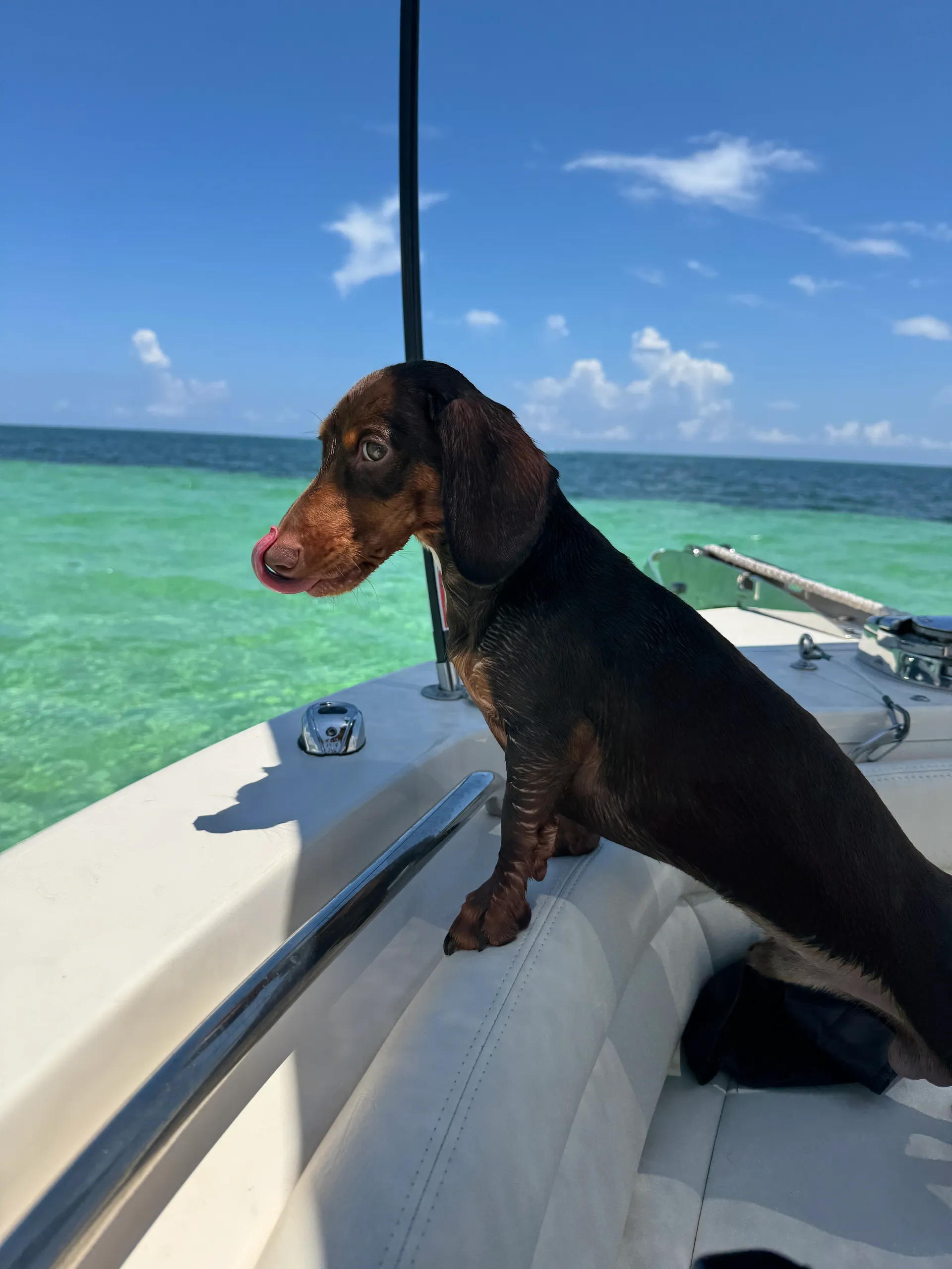 Explore Islamorada Aboard a 25' Grady White – Fish, Swim &amp; Relax