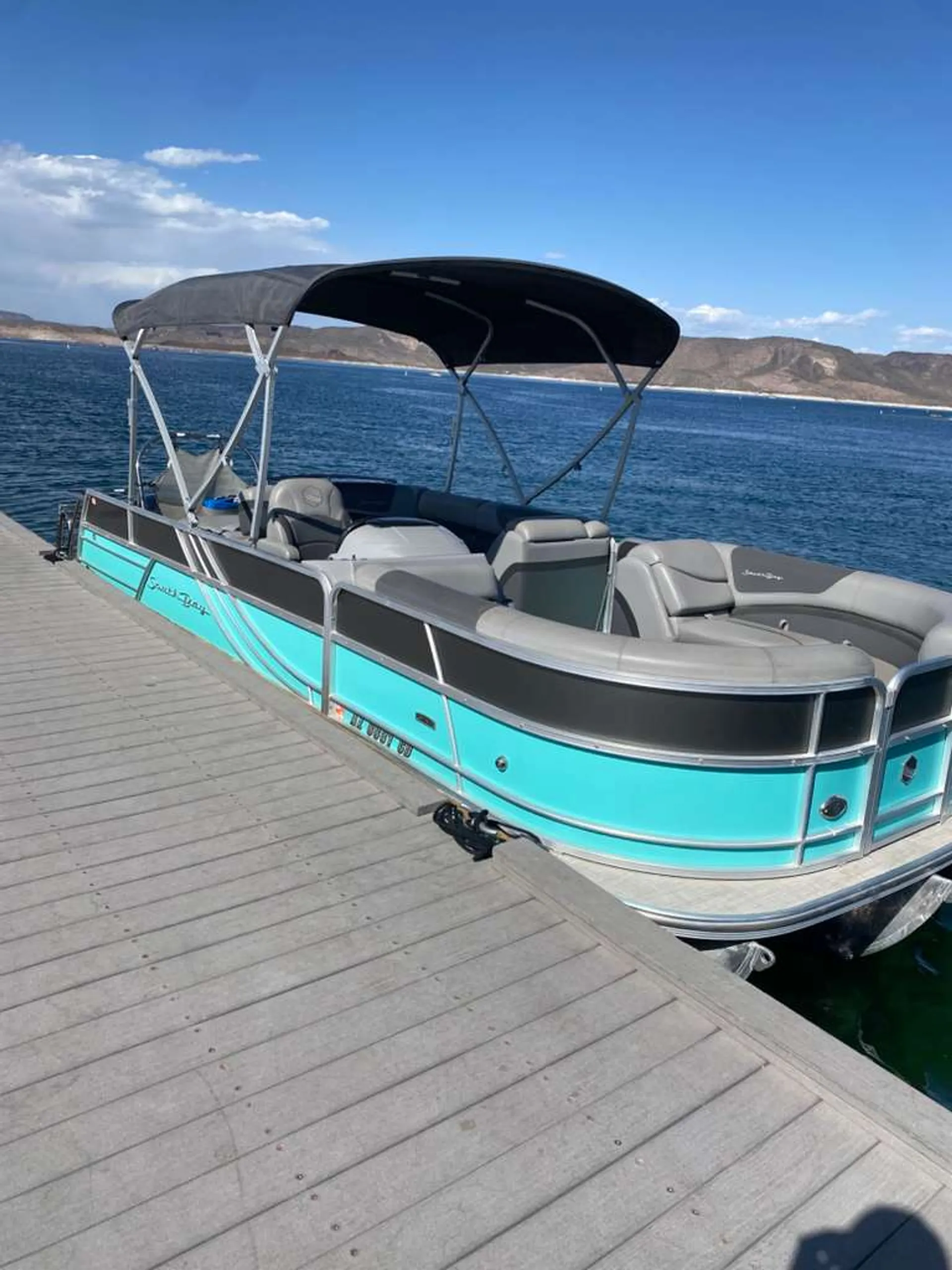 SOUTH BAY PONTOONS 224RS LE 2.75 TRITOON in Morristown, AZ — photo 9