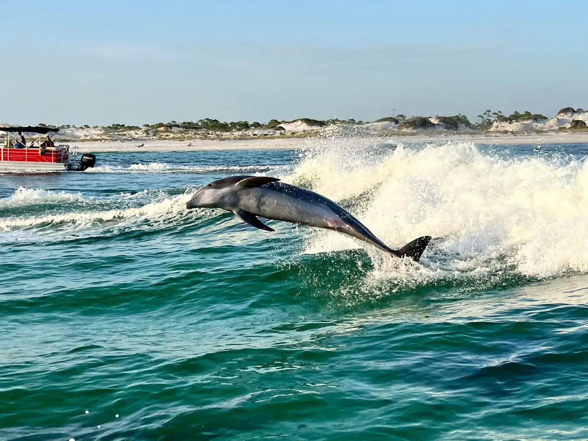 Searunner 52' in Panama City Beach, FL — photo 4