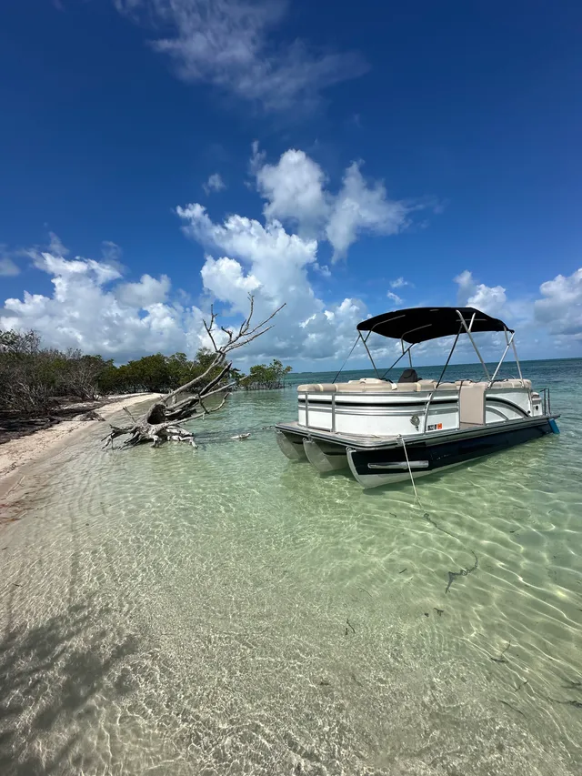 Rent a HARRIS BOATS pontoon in Key West, FL near me