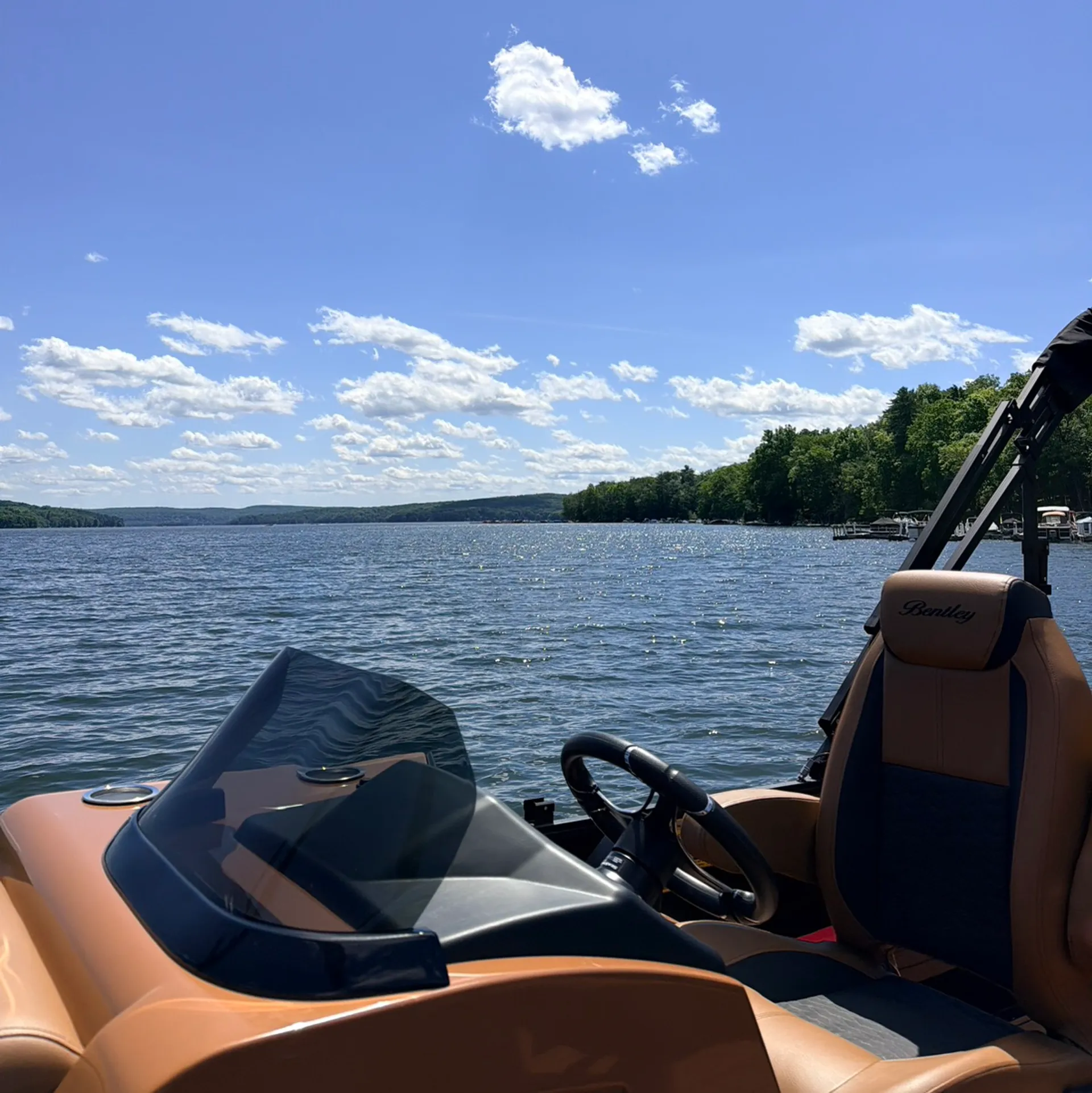 ENCORE BENTLEY ELITE 253 SWINGBACK DUAL CAPT FULL TUBE in Lakeville, PA — photo 5