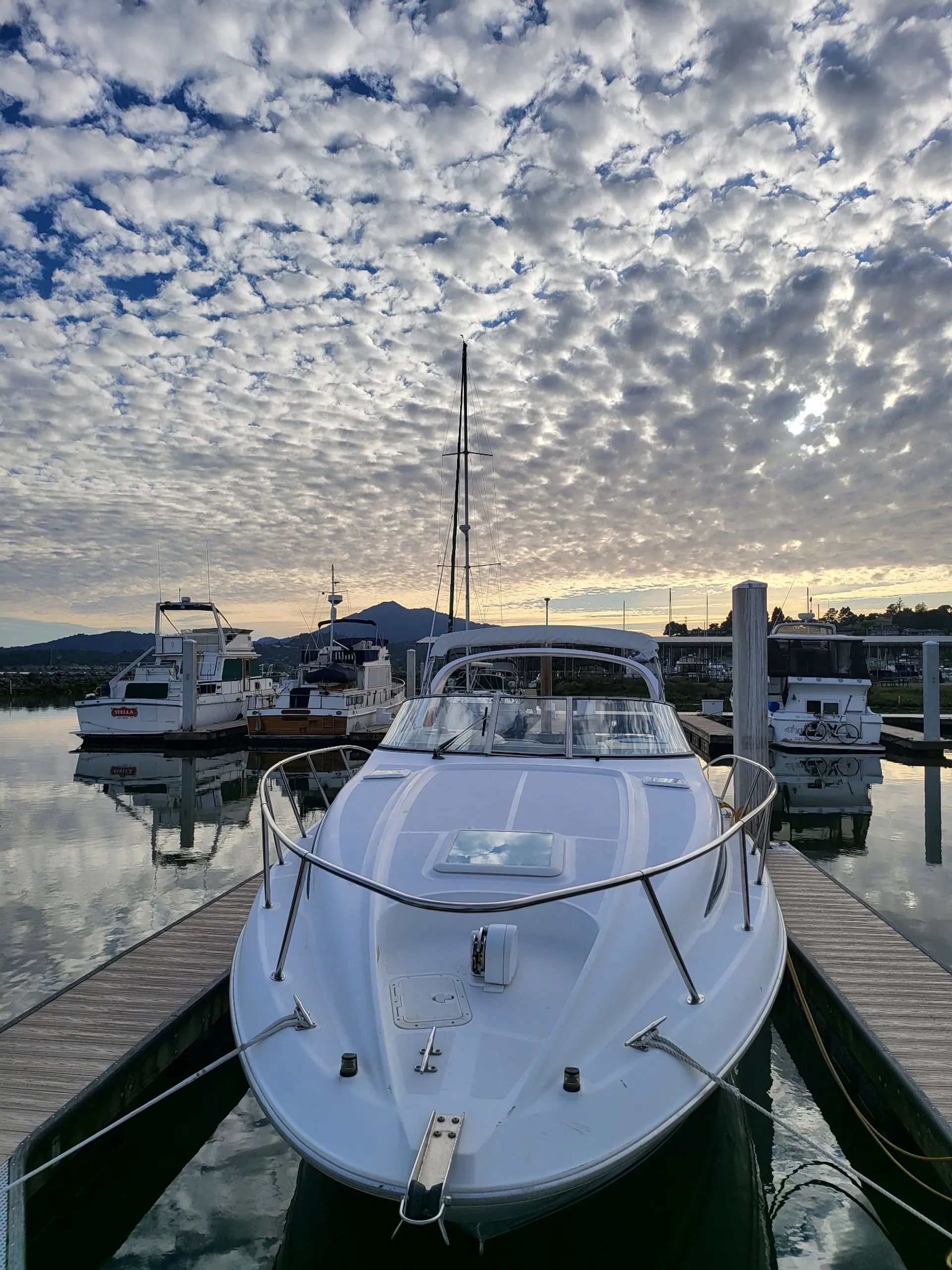 BAYLINER 3255 AVANTI SUNBRIDGE in San Rafael, CA — photo 7