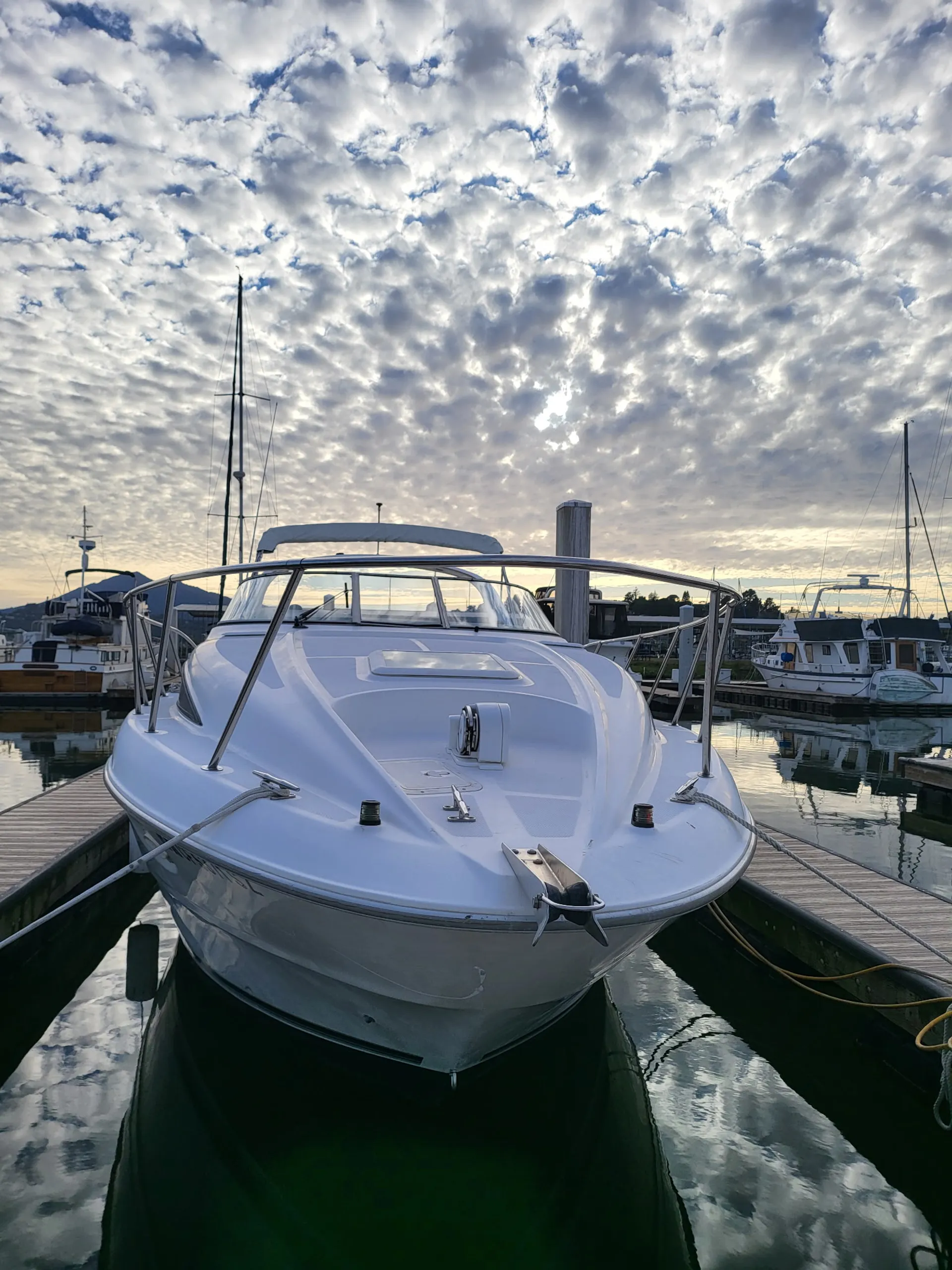 BAYLINER 3255 AVANTI SUNBRIDGE in San Rafael, CA — photo 4