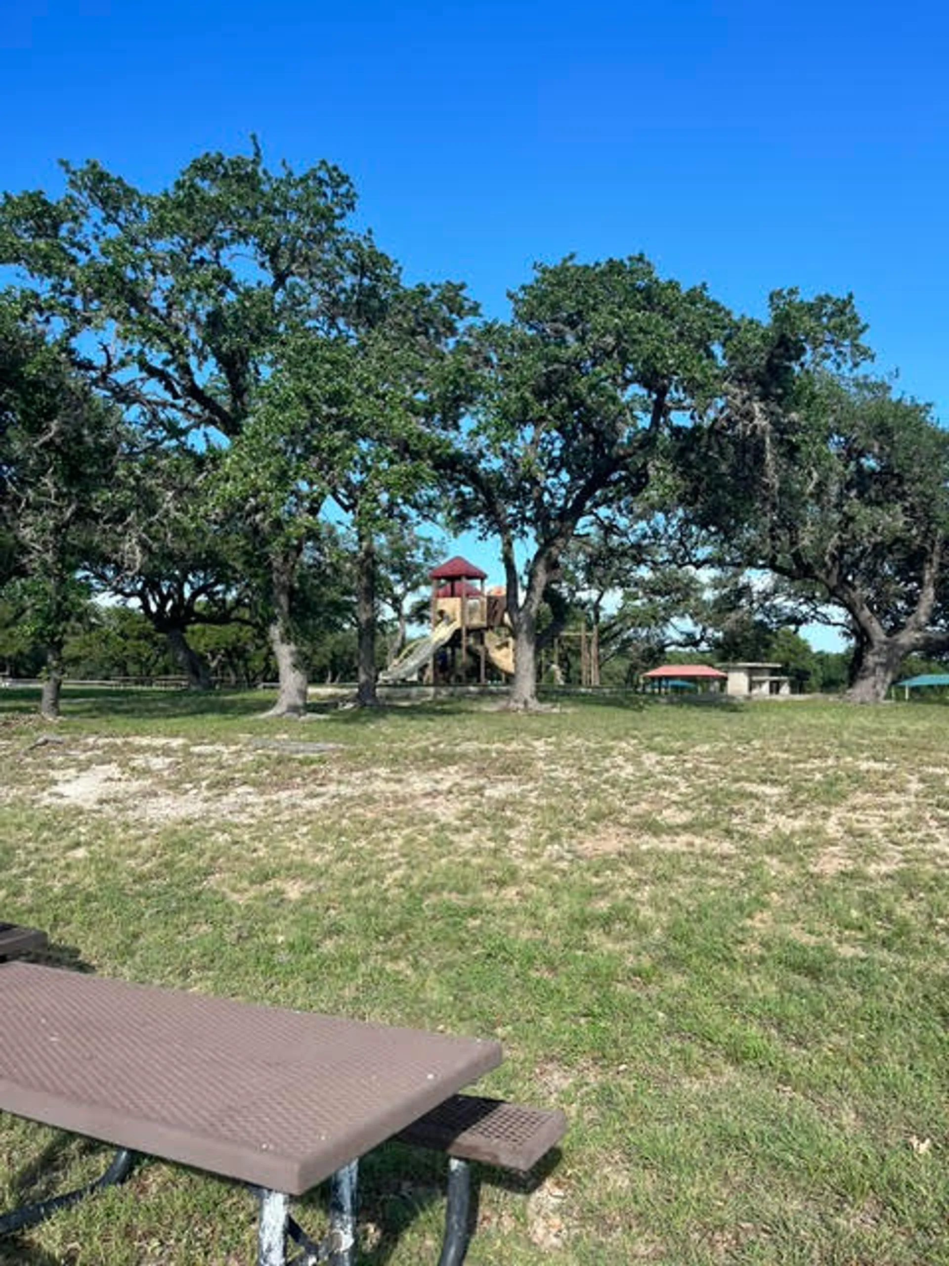 SUN TRACKER BASS BUGGY 18 DLX in Canyon Lake, TX — photo 6