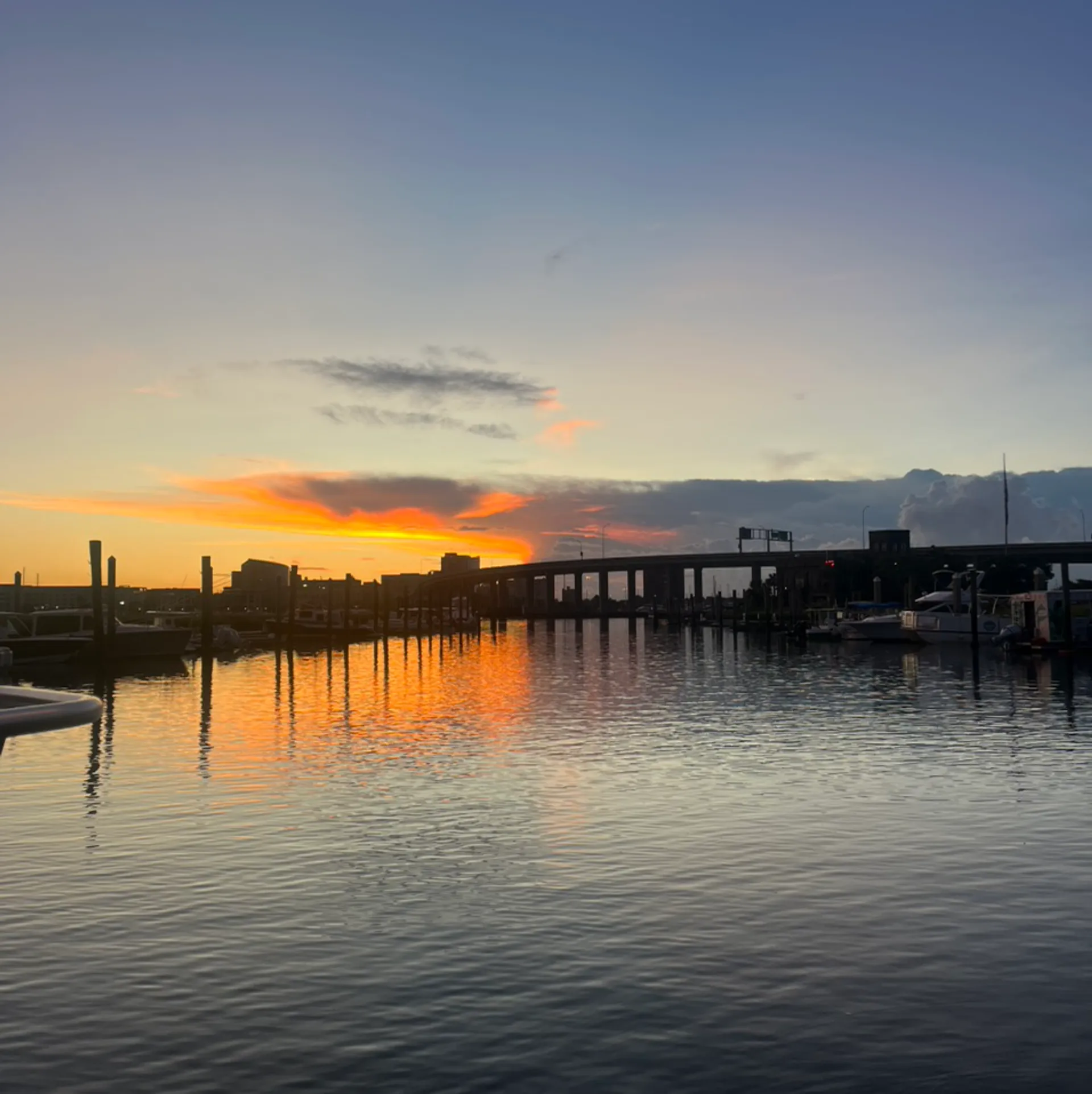 Salt Shaker / Blackfin Custom 300 in Charleston, SC — photo 4