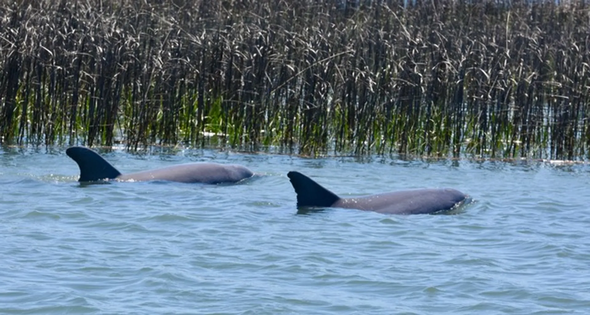 Large Group (7-20) Private Boat Charters