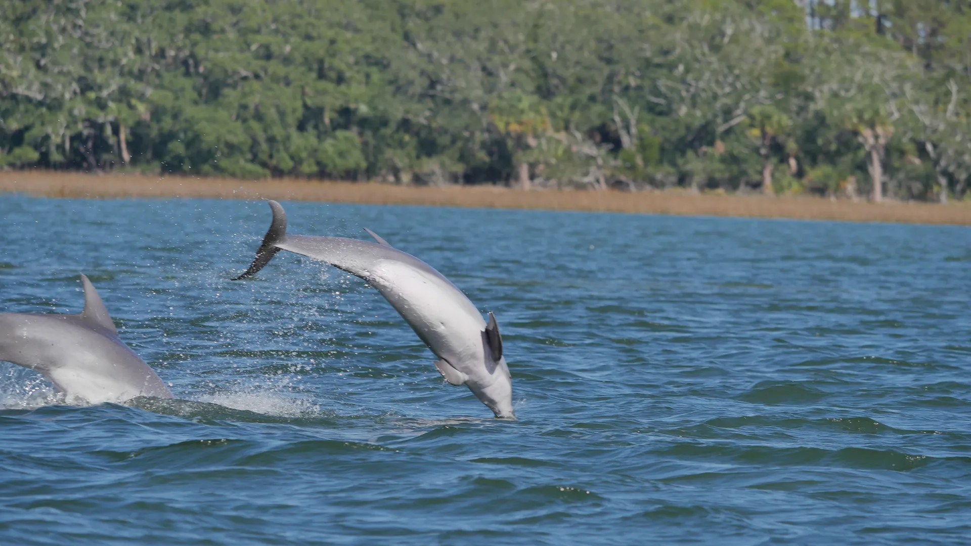 Large Group (7-20) Private Boat Charters