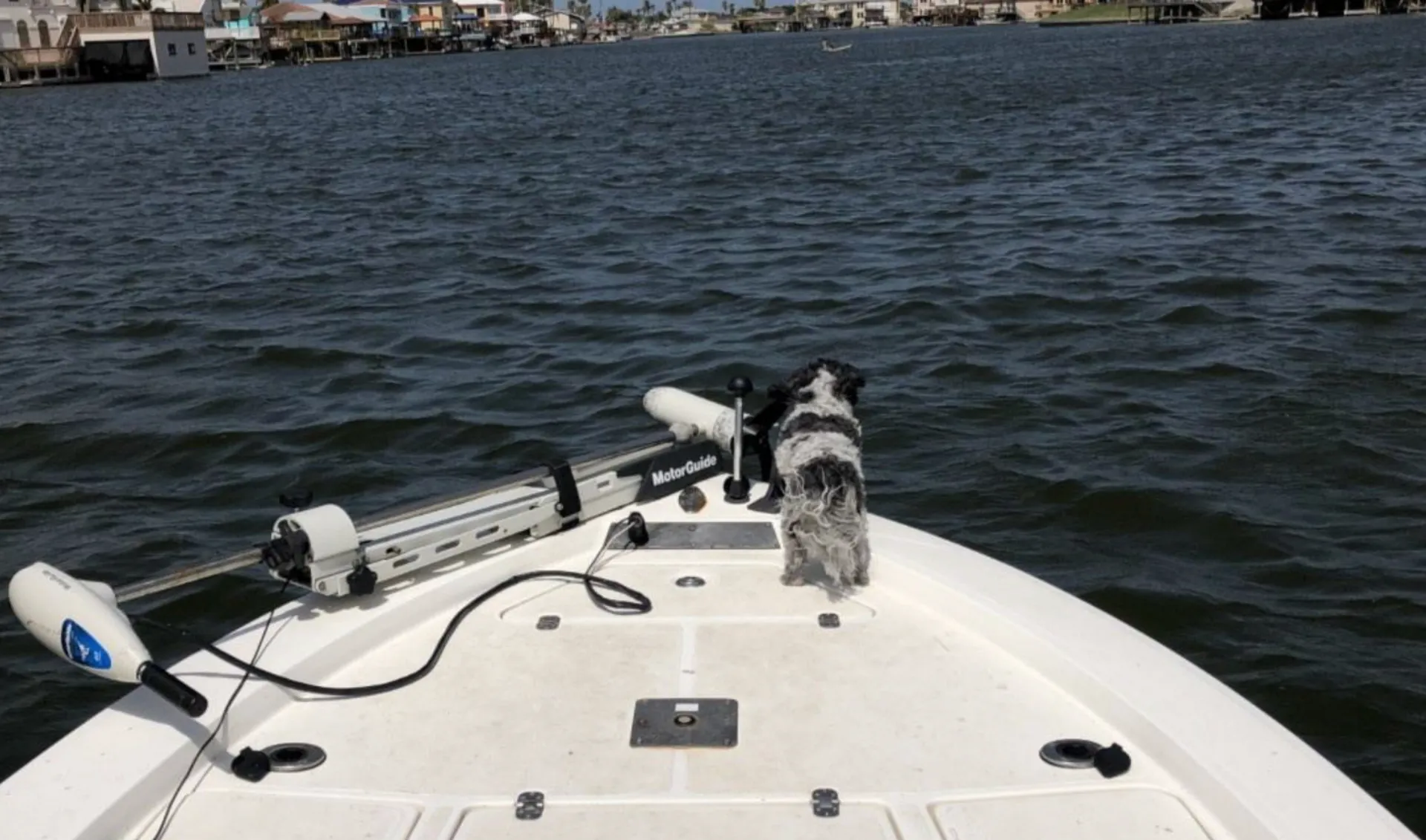 Mako Marine 2201 in Corpus Christi, TX — photo 3