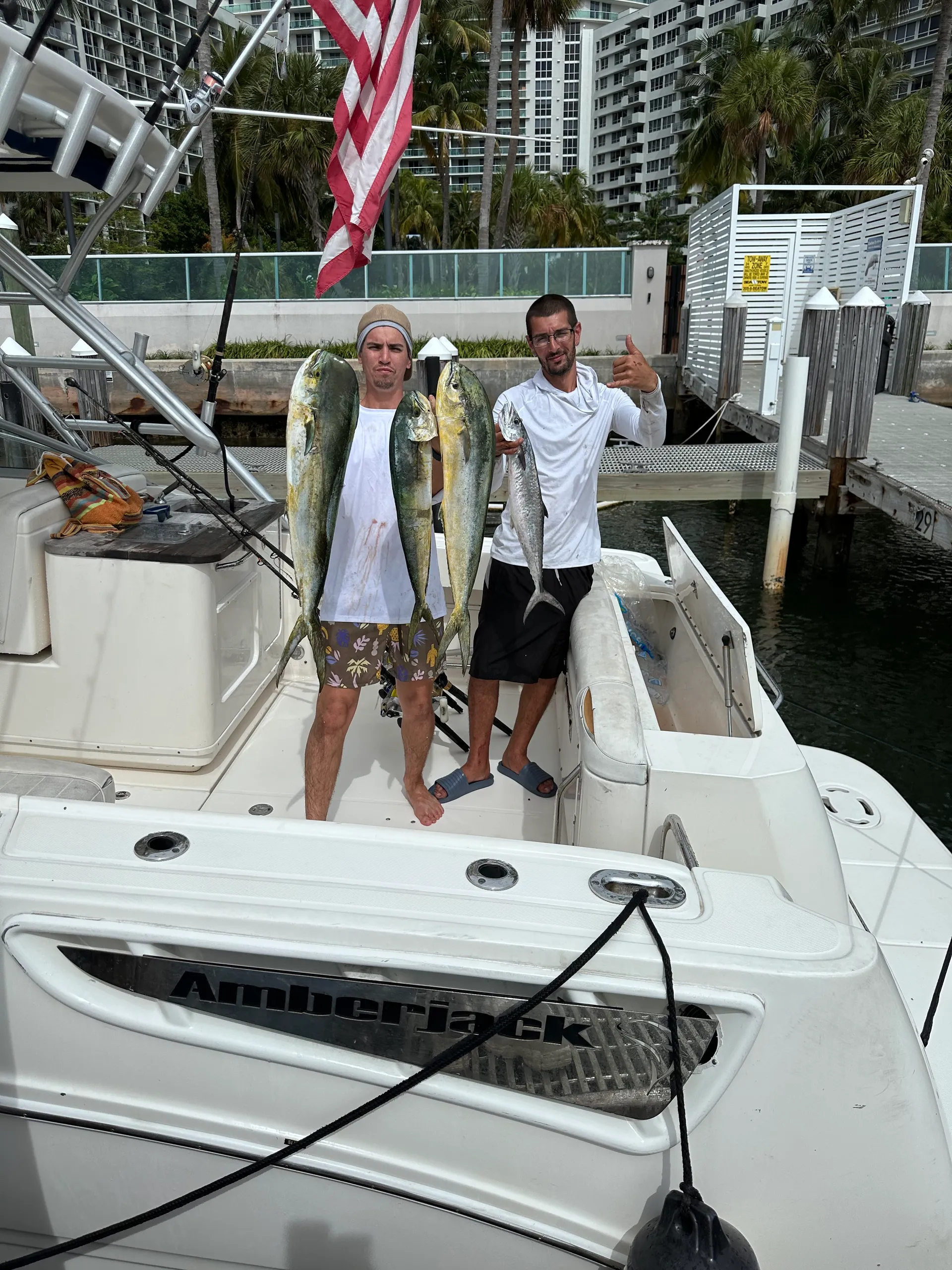 Sea Ray Boats 290 Amberjack in Miami Beach, FL — photo 9