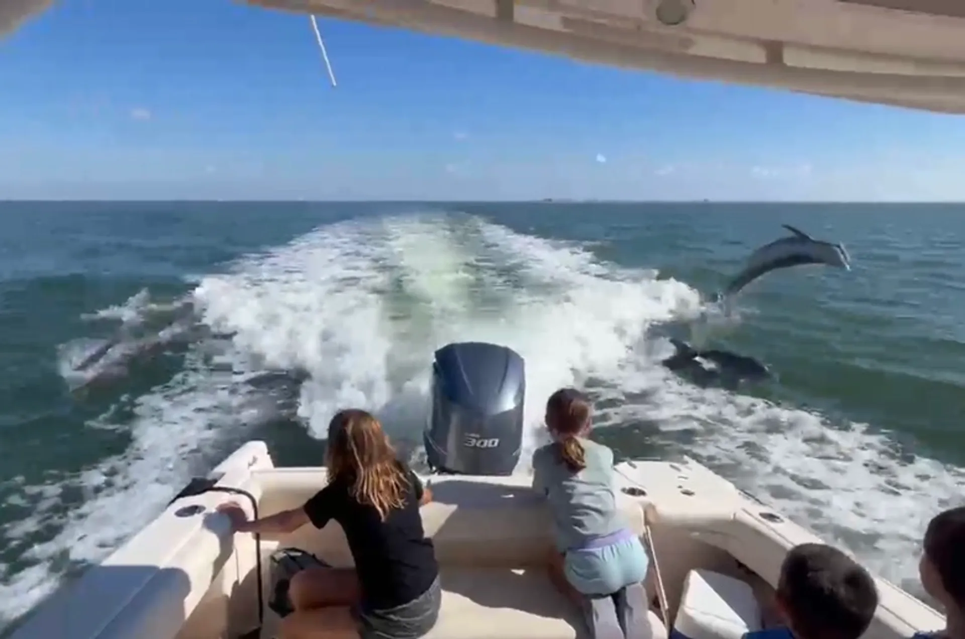 Explore the Gulf and Florida Bays on an Exceptional 25 Ft Grady-White 