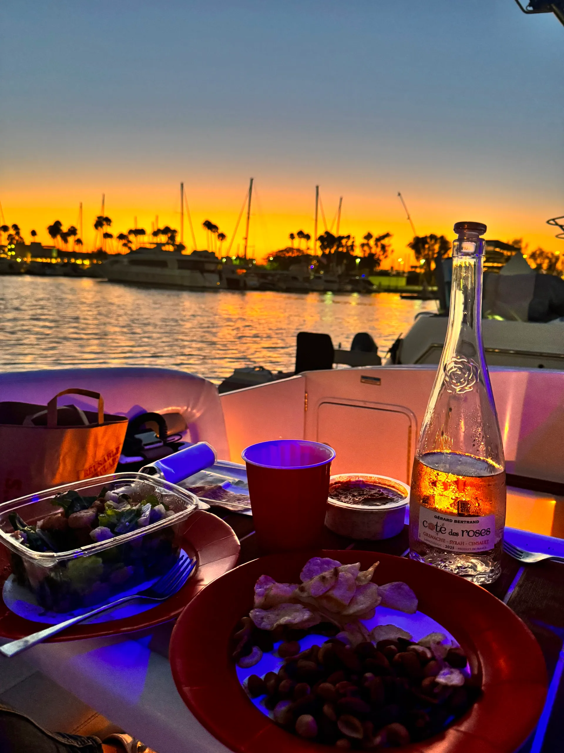 Luxury VIP Sea Ray 320 Yacht Rental – Cruise in Style for any occasion