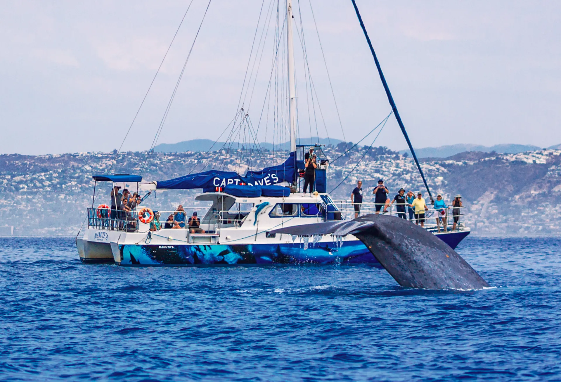 Murakami 50 Catamaran in Dana Point, CA