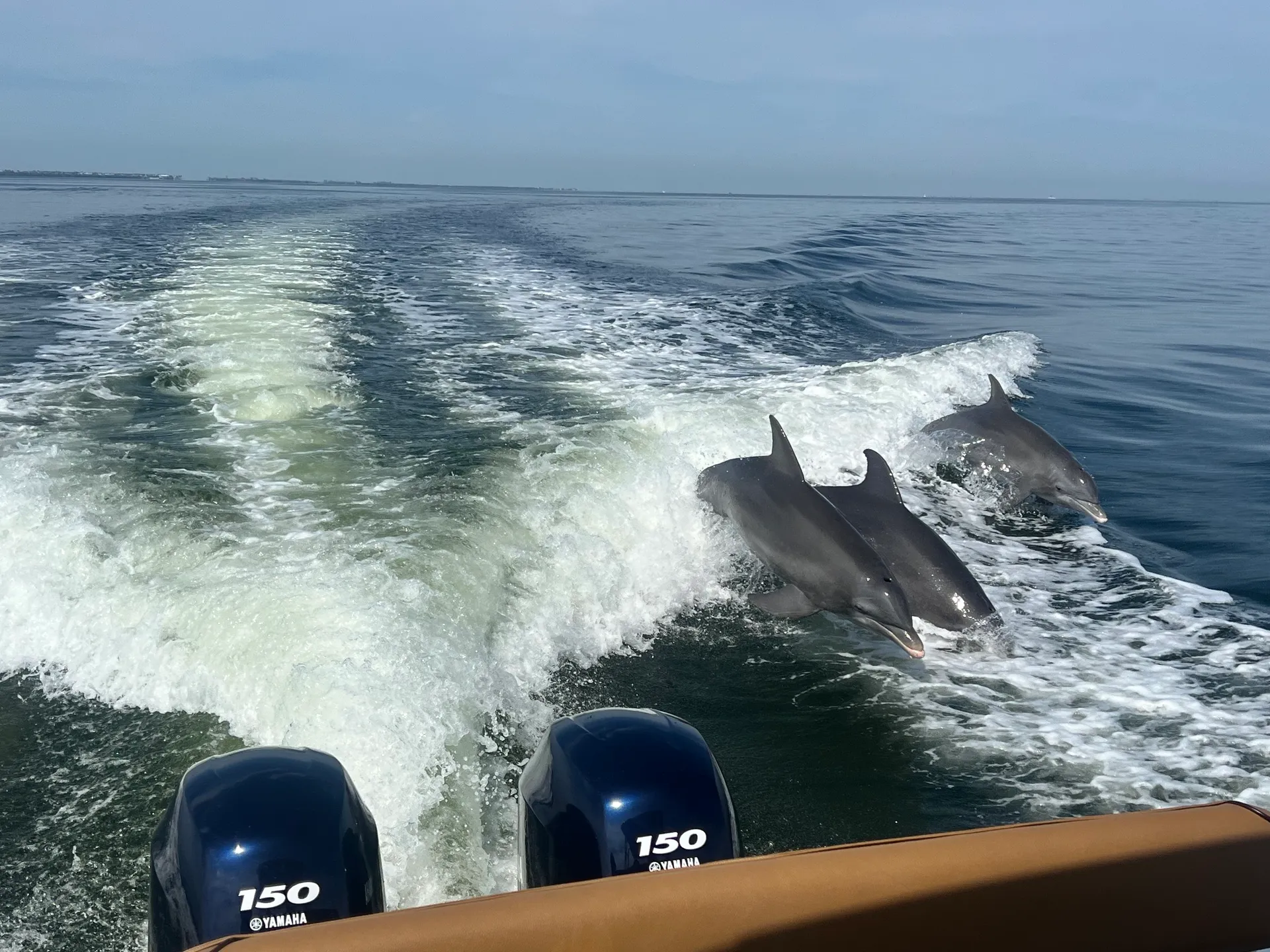 ROBALO 245 WA W/2-150 4-S in Fort Myers, FL — photo 2