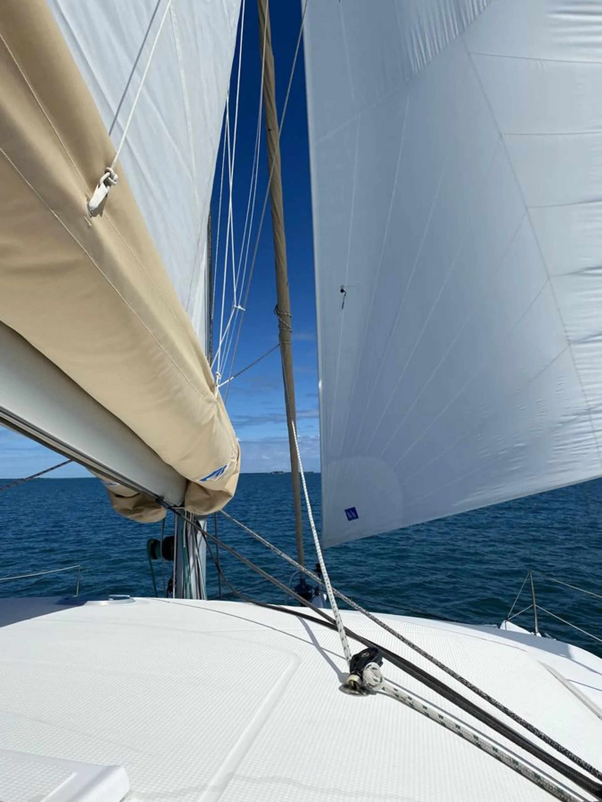Private Sailing Catamaran Adventure On Gloucester Harbor