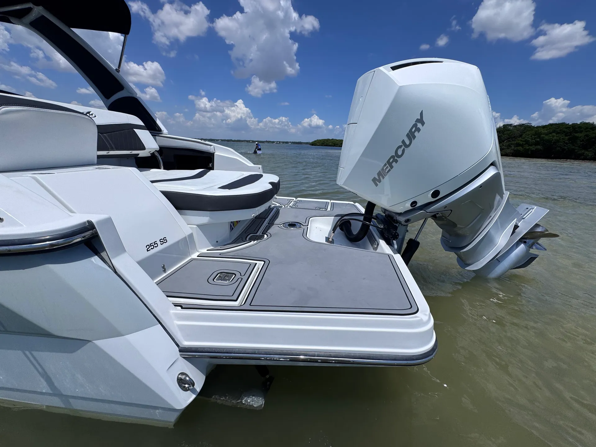 MONTEREY BOATS 255SS in St. Petersburg, FL — photo 7