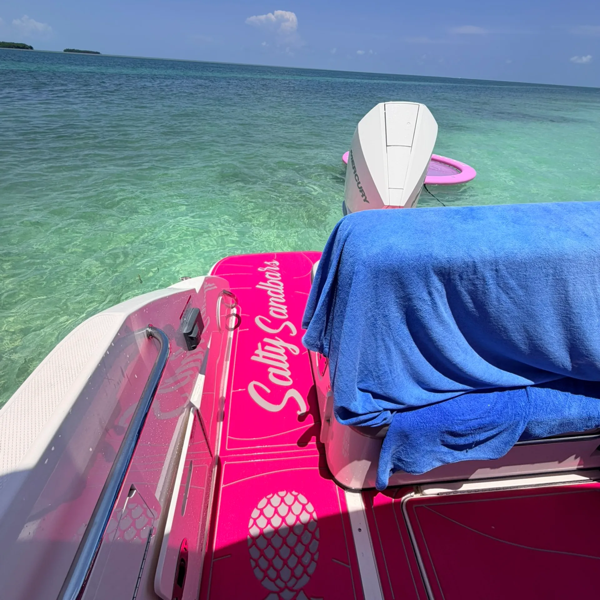 SEA RAY BOATS SDX 250 OB in Key West, FL — photo 2